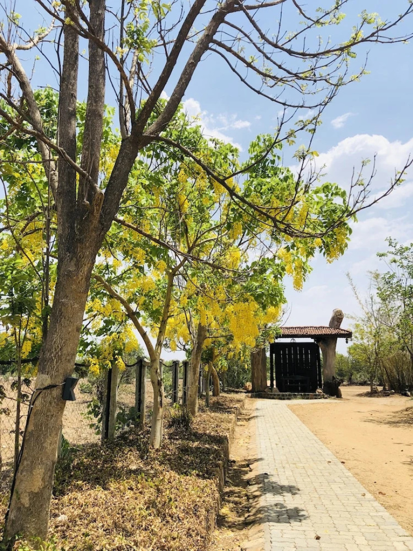 Regenta Resort Aranyaani