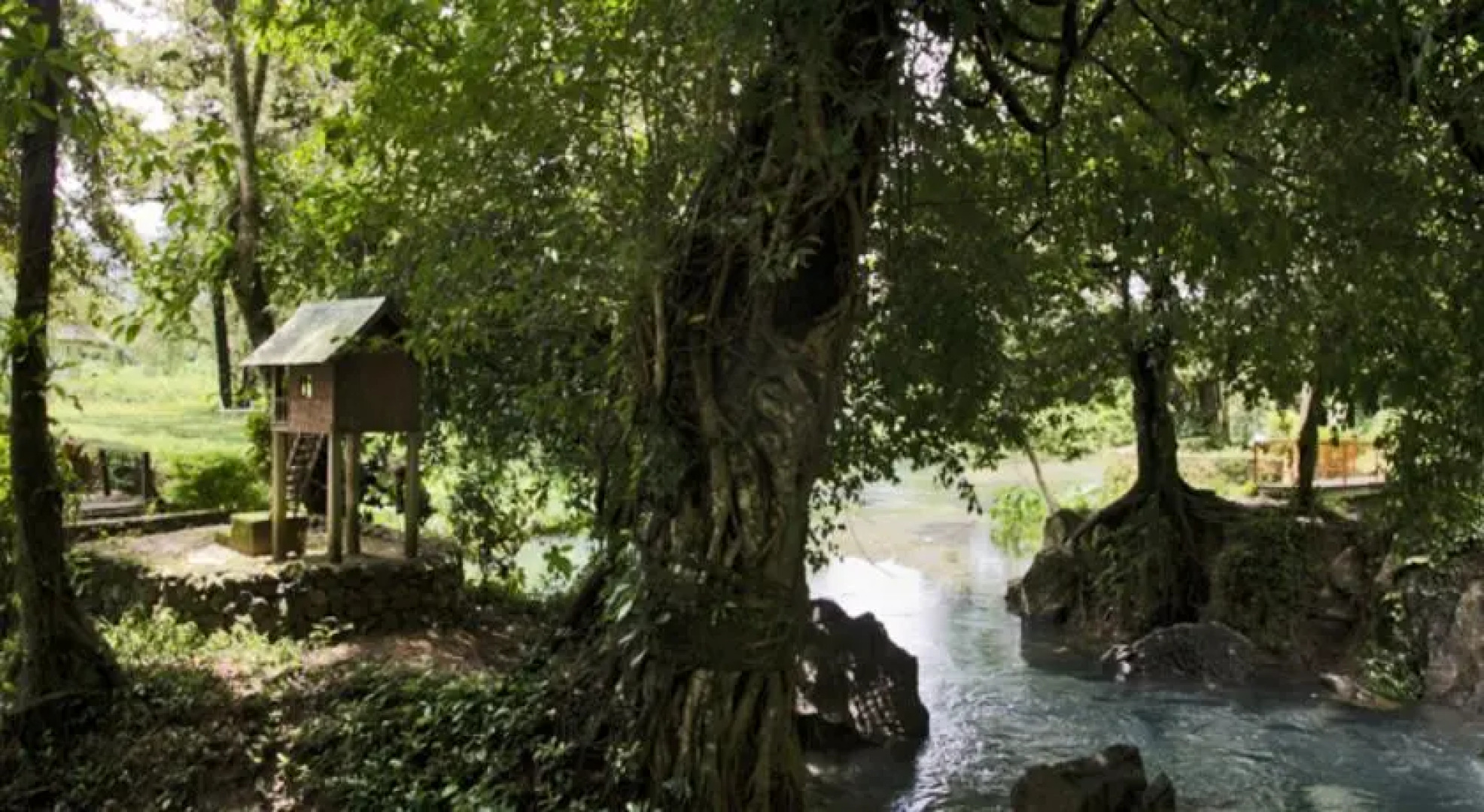Riverside Garden Bungalows