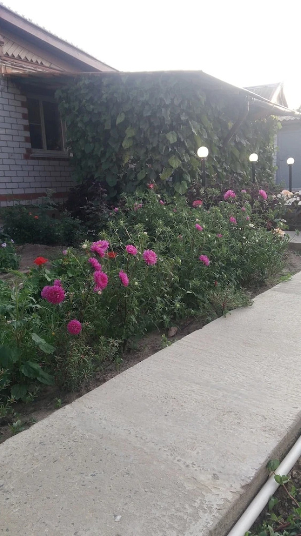 V gostyakh u Baby Poli