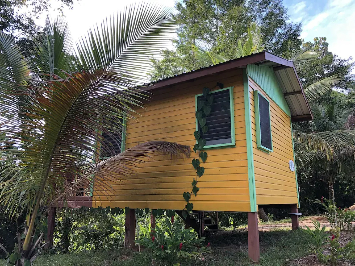 Toucan Ridge Ecology & Education Society T.R.E.E.S.