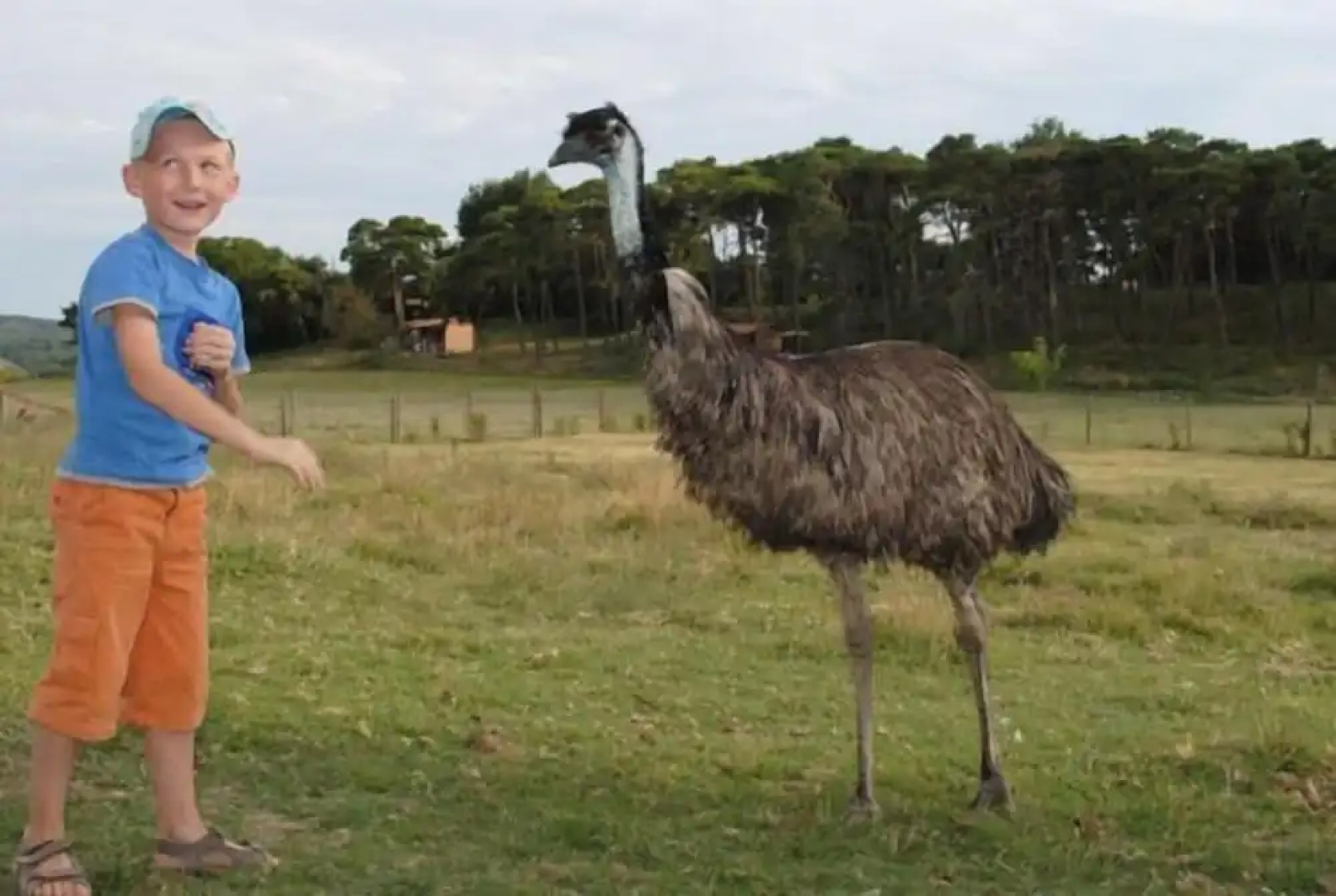Chambres d'hôtes Domaine Du Bas Chalus
