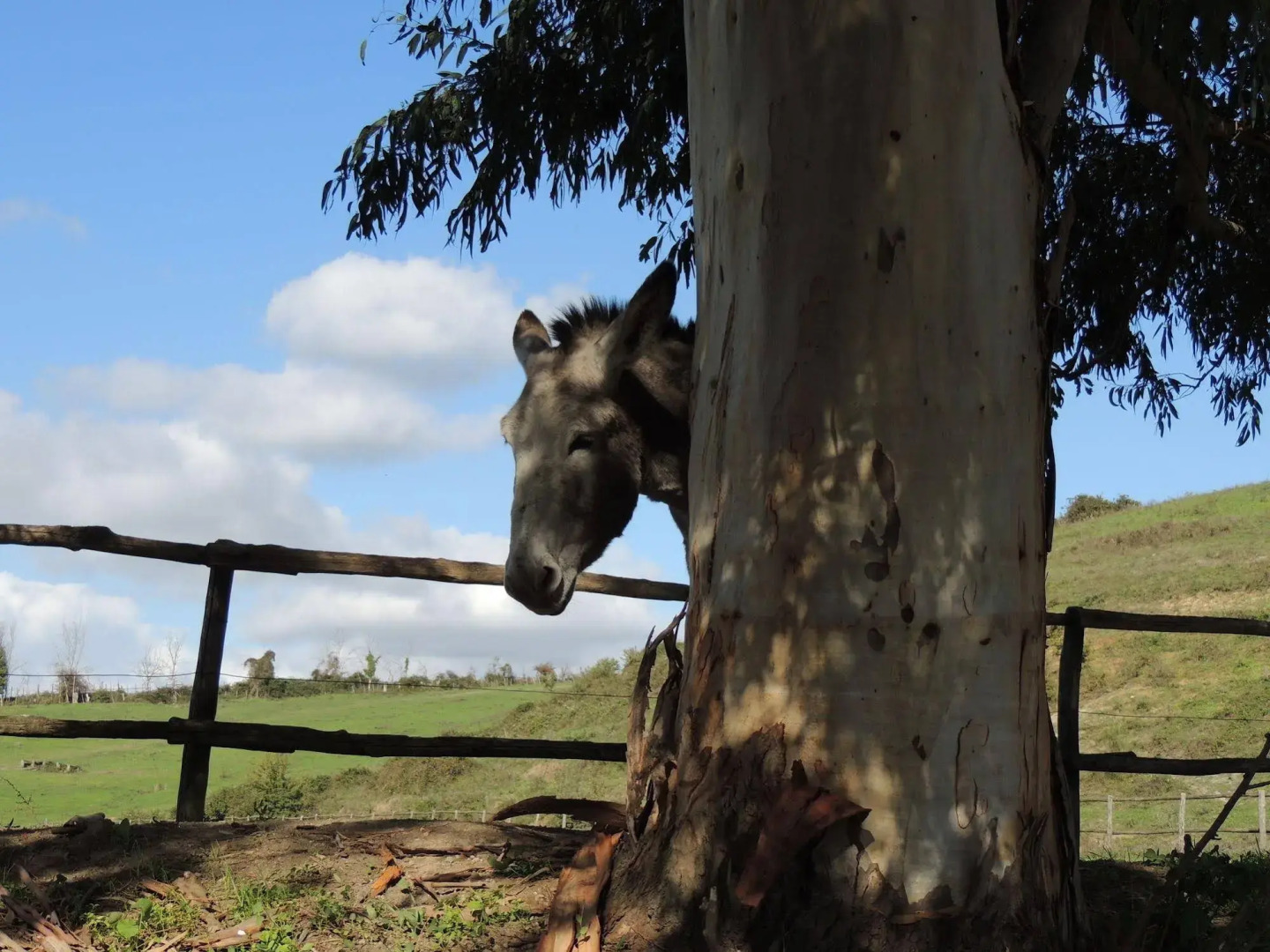 Country Relais I Due Laghi