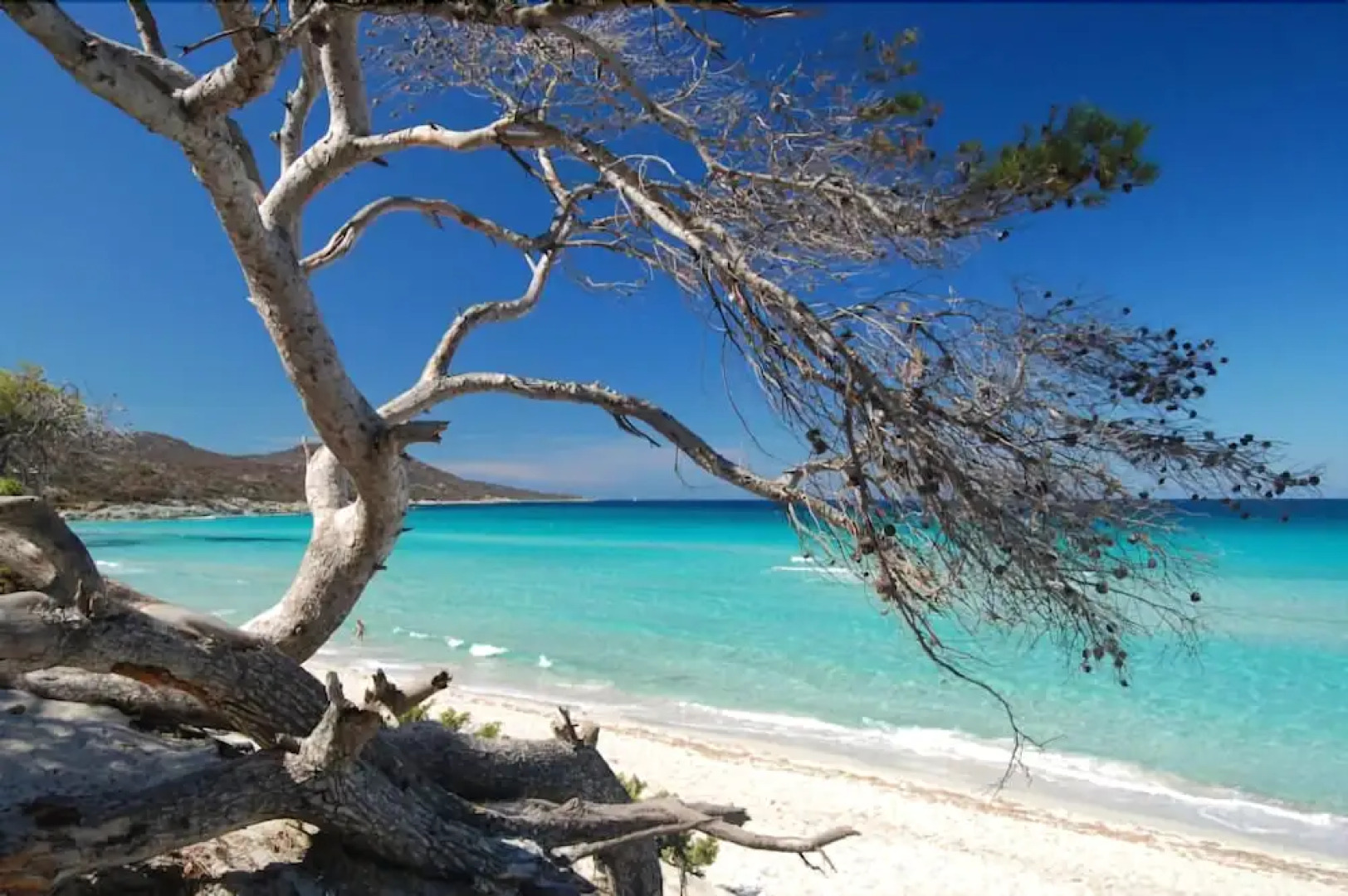 Cap Corse uribellinu 1