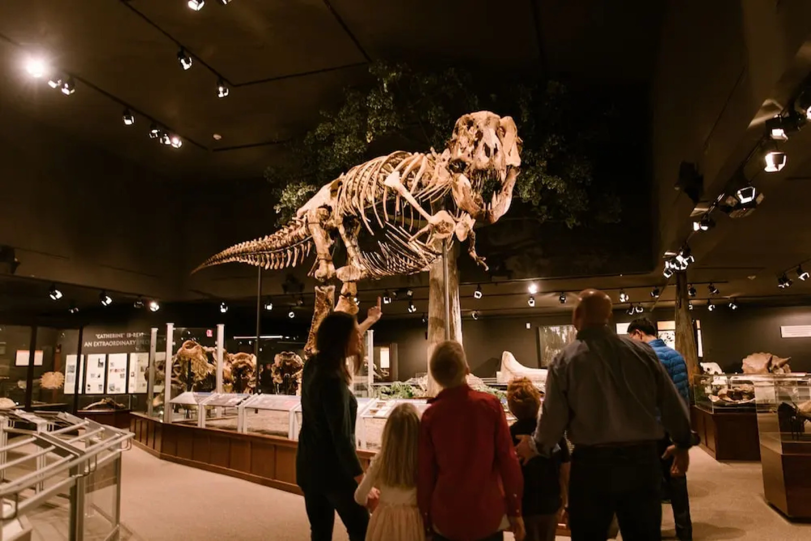 Residence Inn Bozeman Downtown