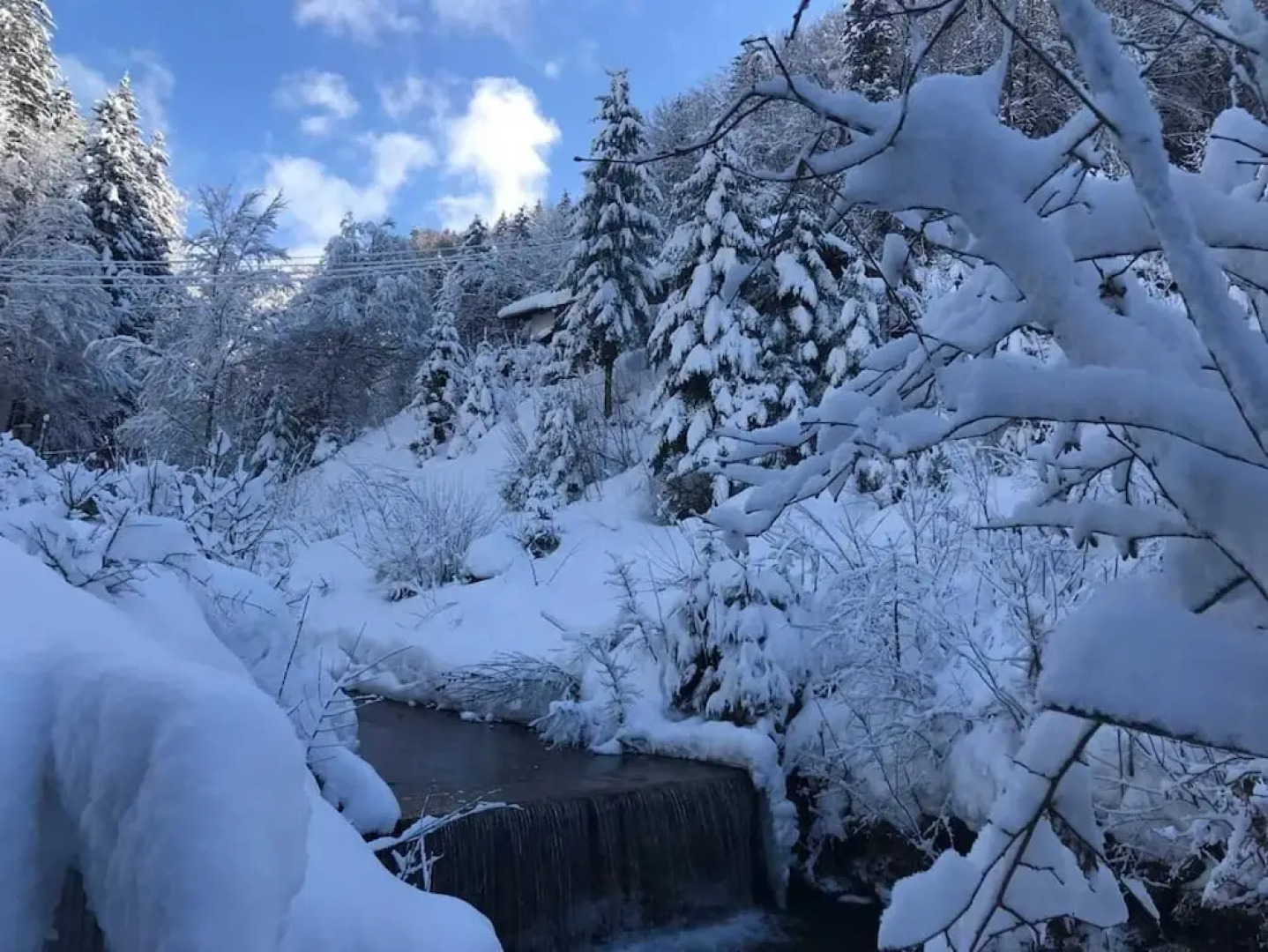 Wildromantisches Appartement am Bachlauf