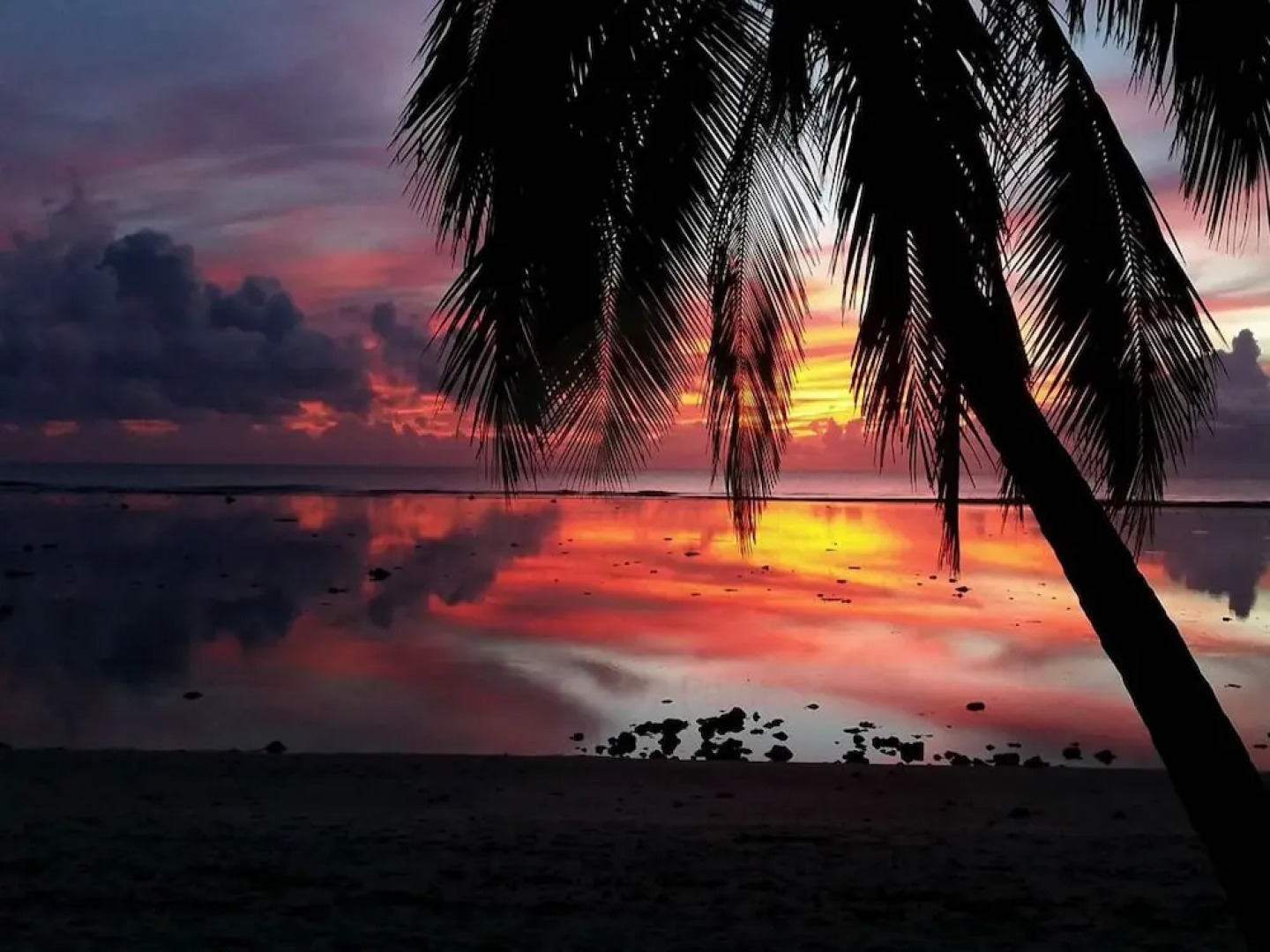 Sunset Palms Rarotonga