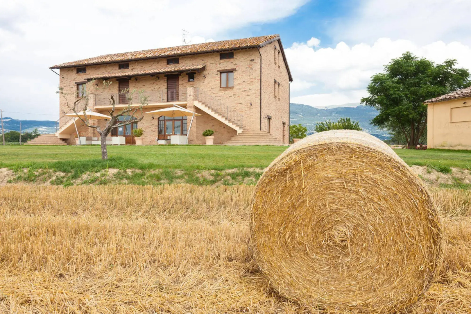 Assisium Agriturismo