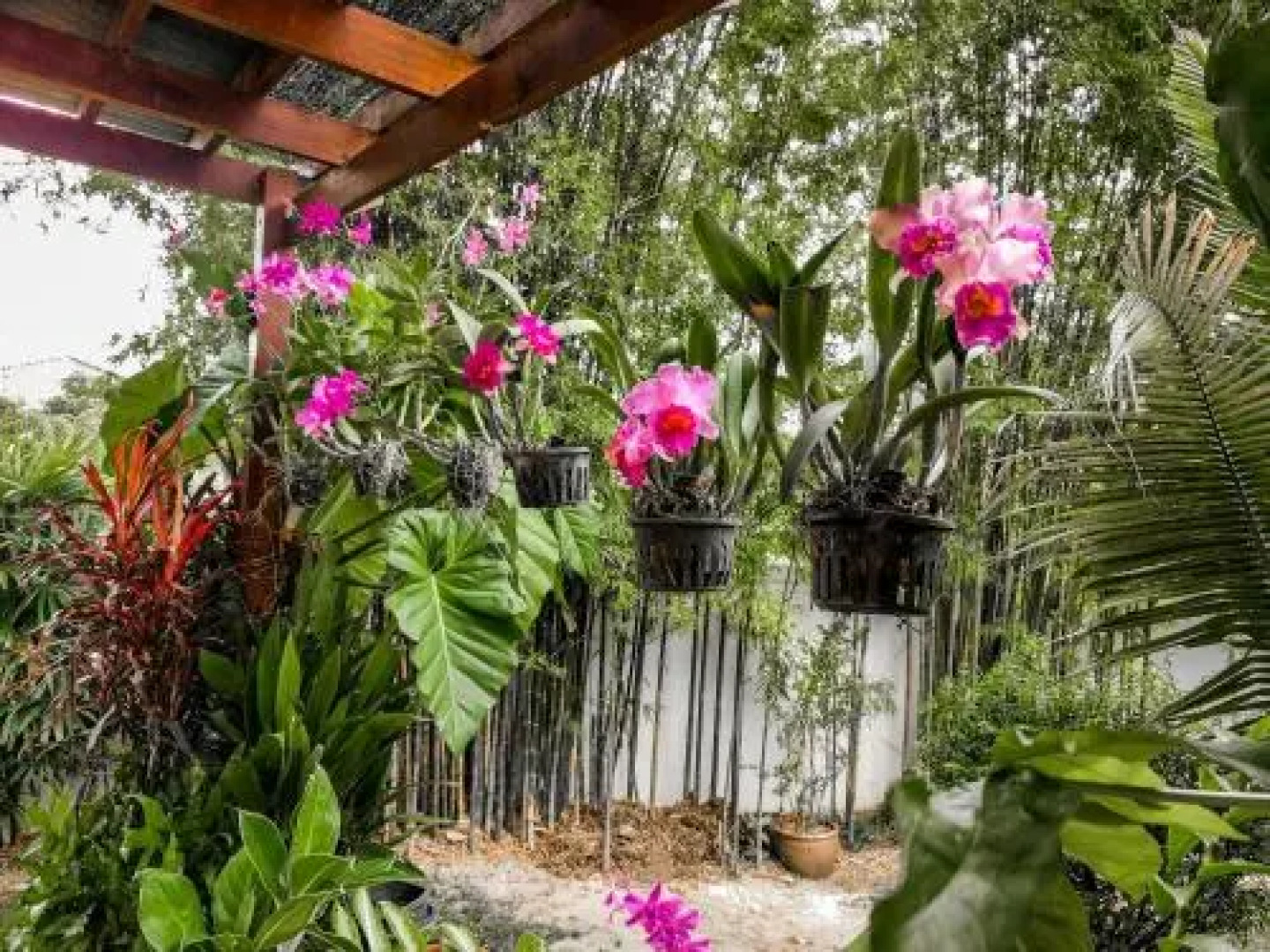 Villa Volpi Bed & Breakfast