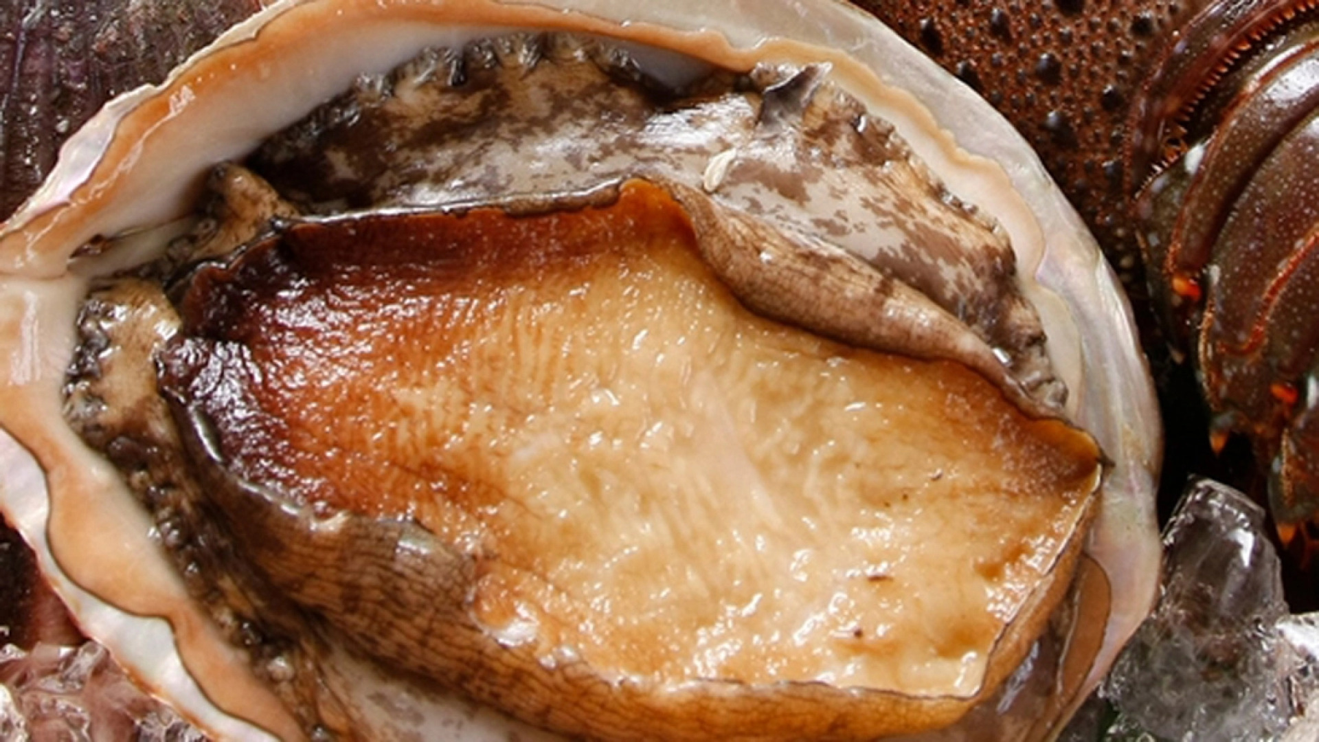 Wakasajinoyado Yamaya