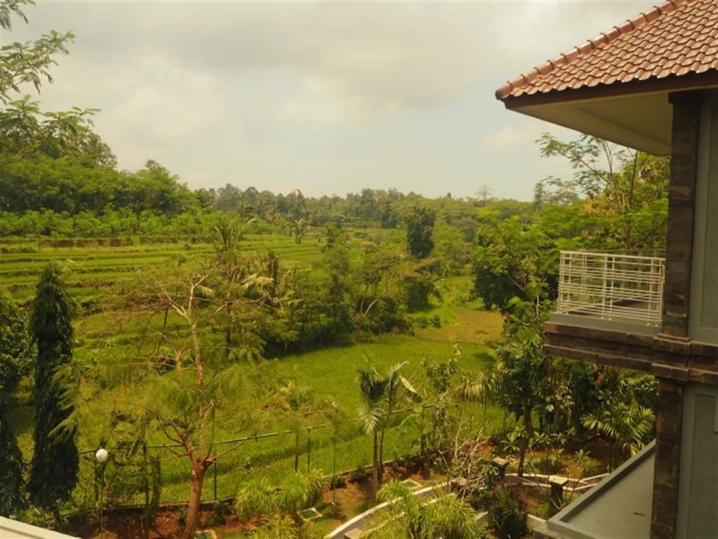 The Gecho Inn Country