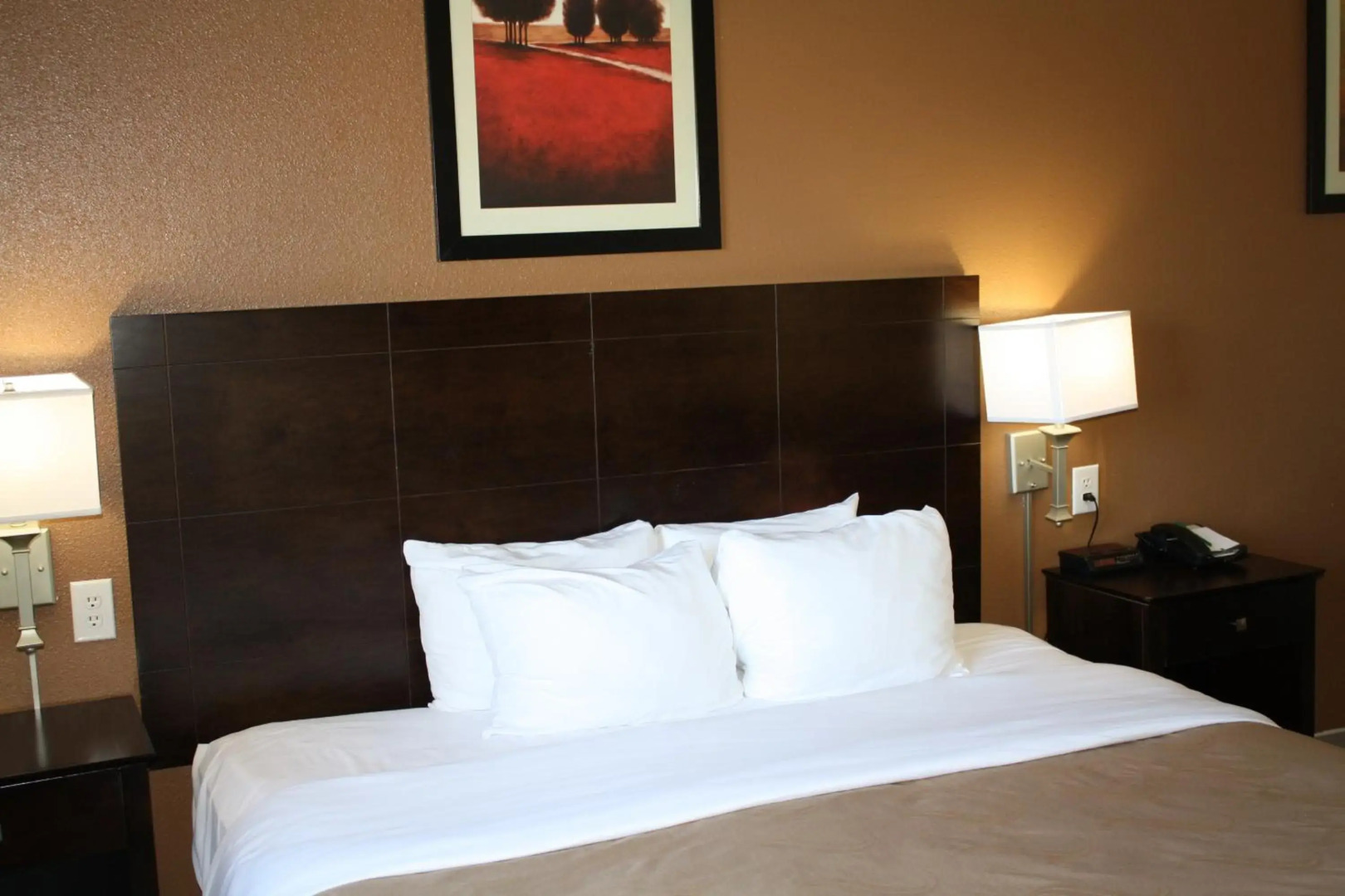 Quality Inn & Suites Wichita Falls I-44