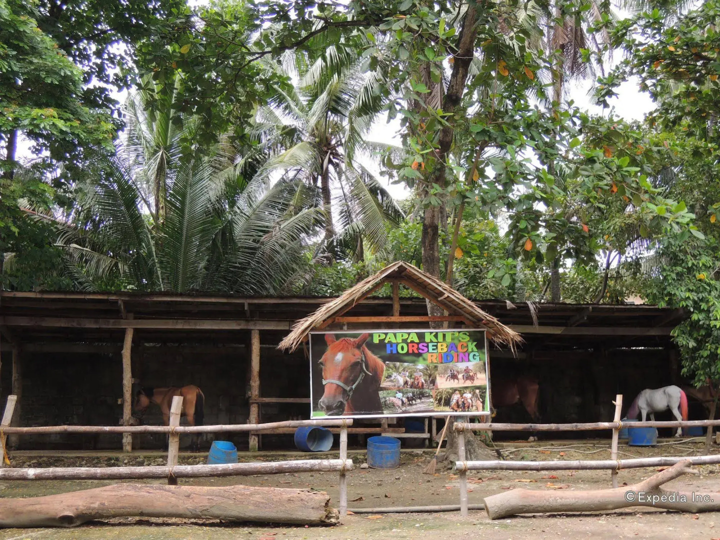 Papa Kits Marina & Fishing Lagoon