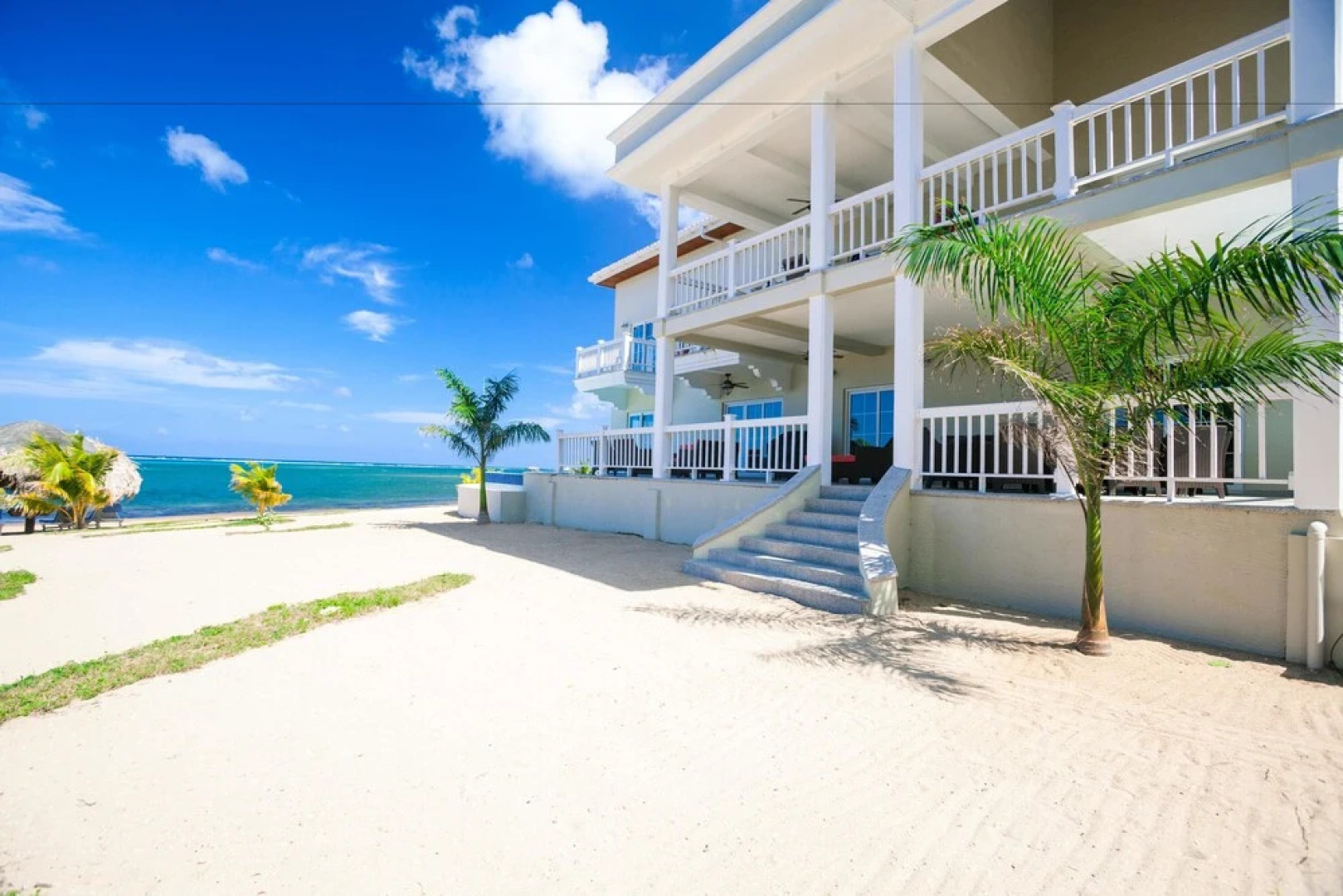 Lawson Rock Seahorse 104