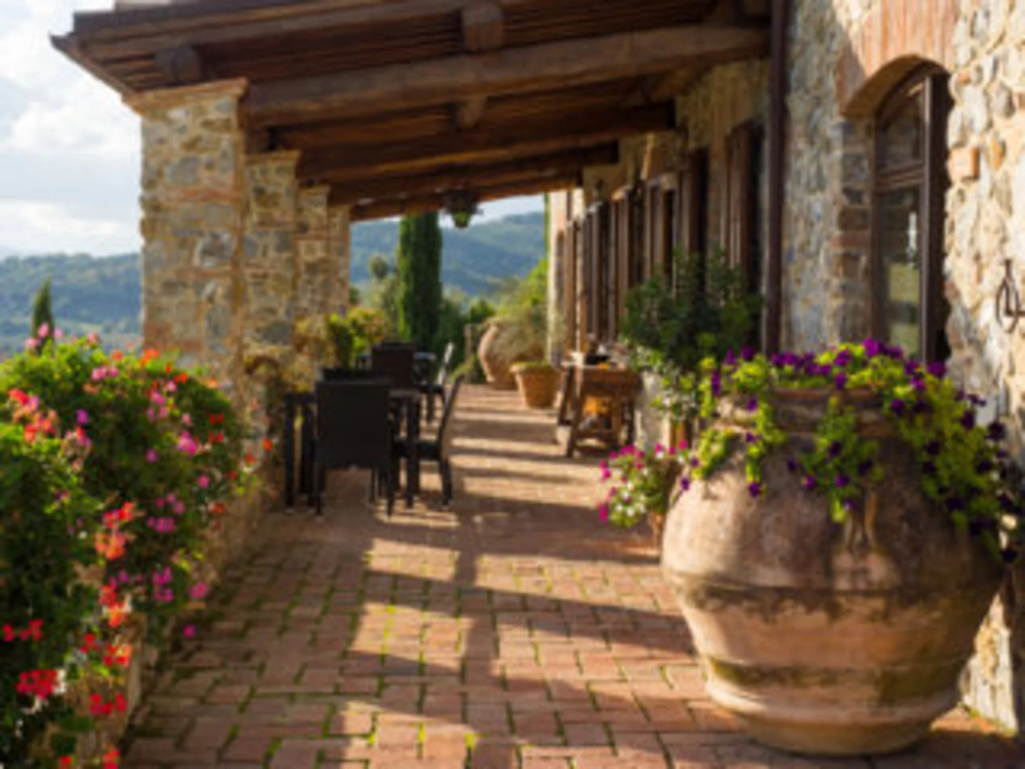 poggio alla rocca - ginestra