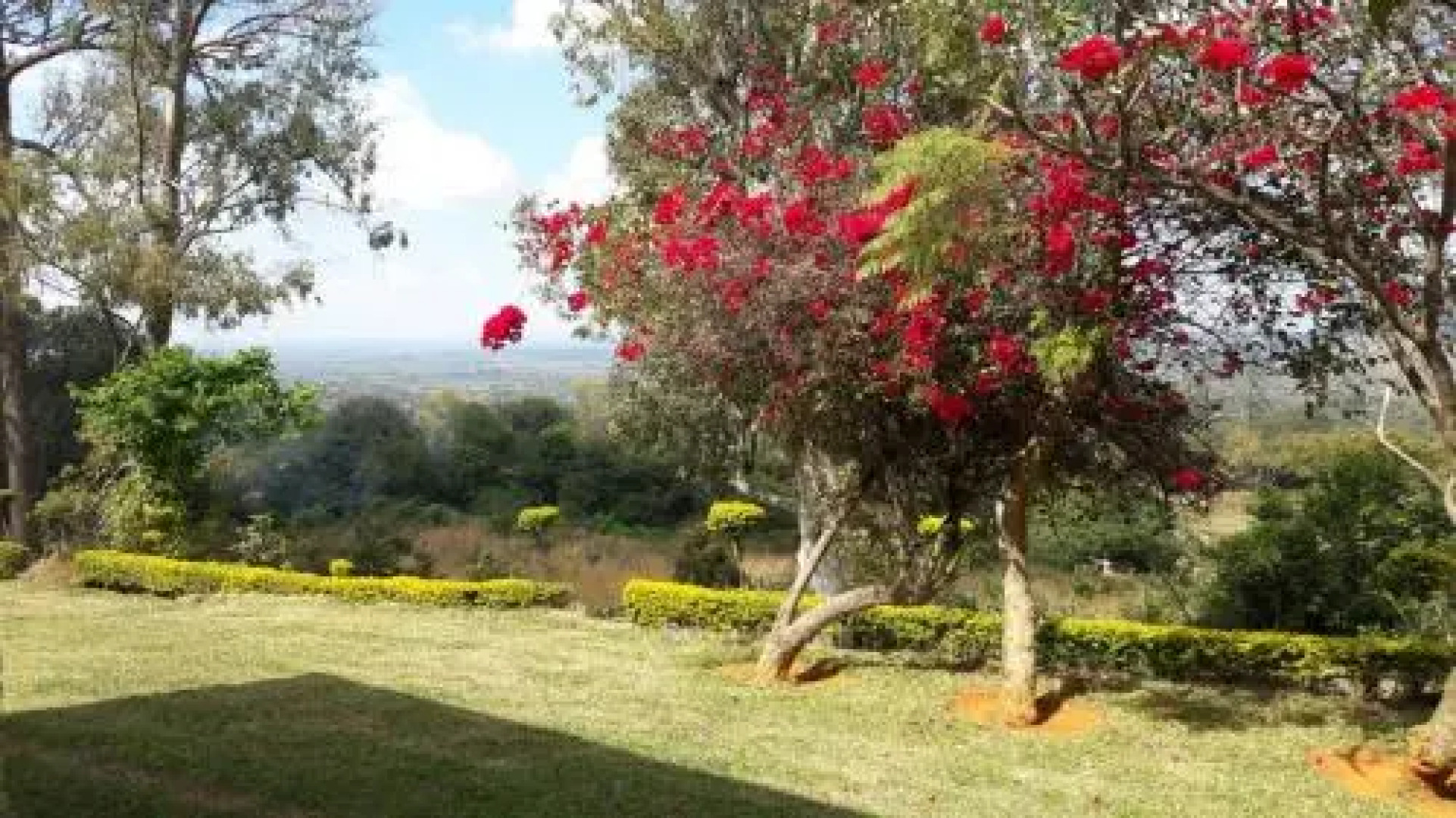 Domino Accommodation and Restaurant