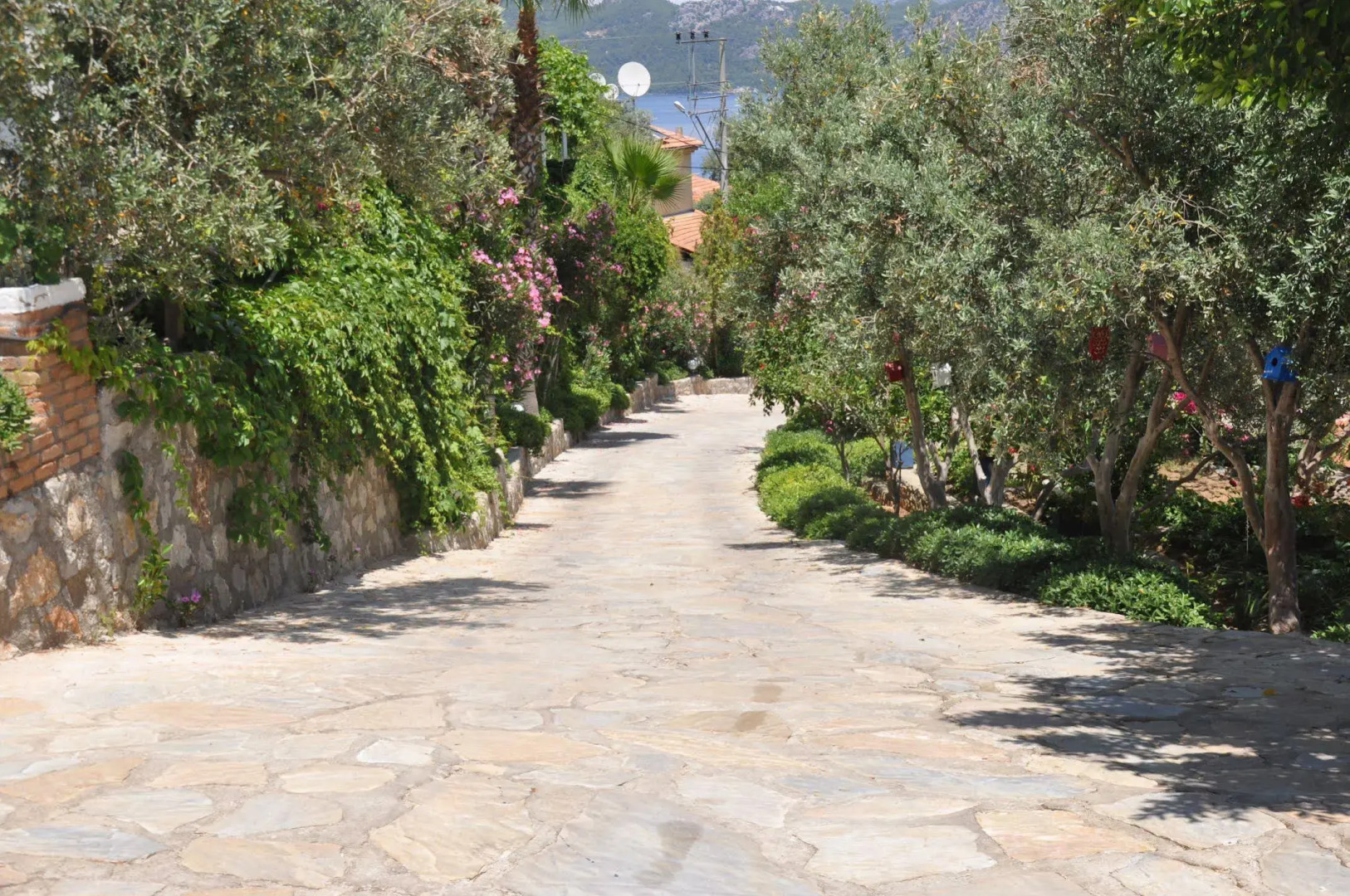 Lacivert Boutique Hotel