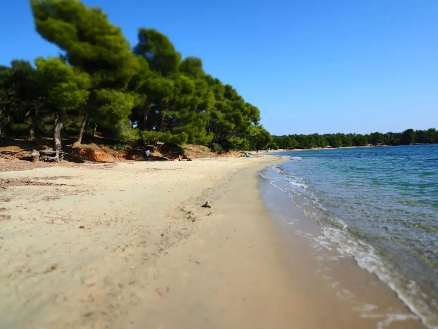 La Londe La Mer : appartement proche plages & vue superbe sur les îles d'or