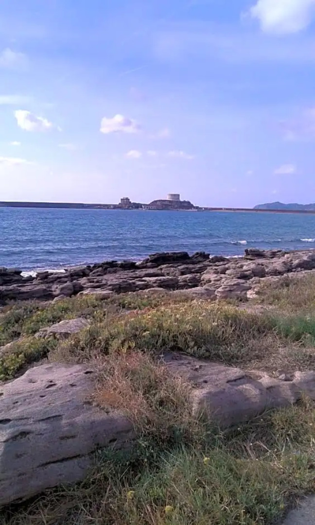 Alma bed & breakfast