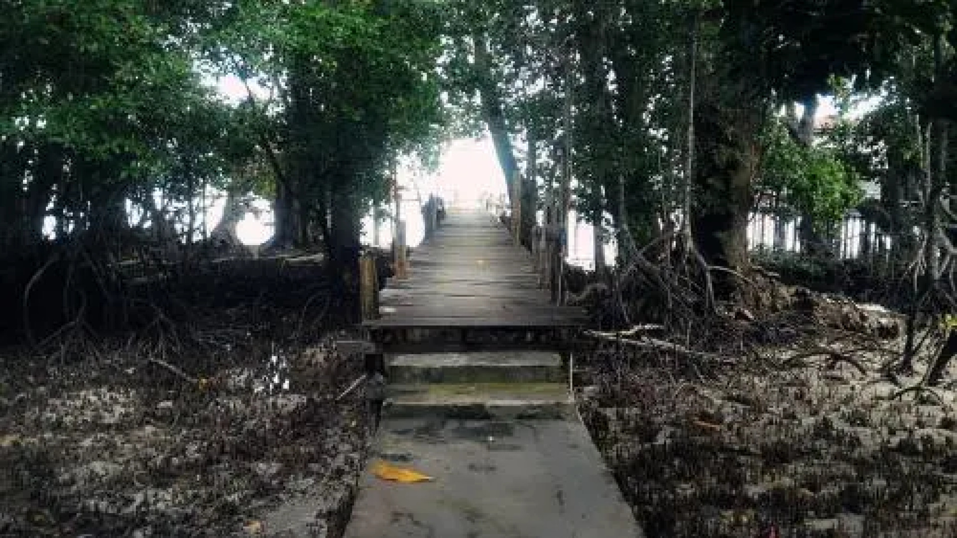 Cormasiwin Resort Mangrove