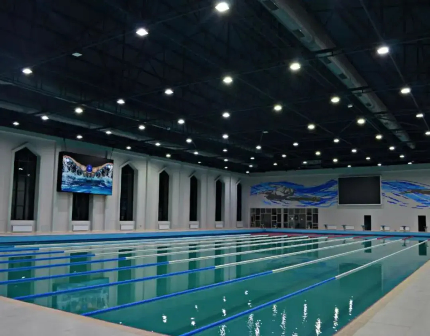 Arena Apartments Guba