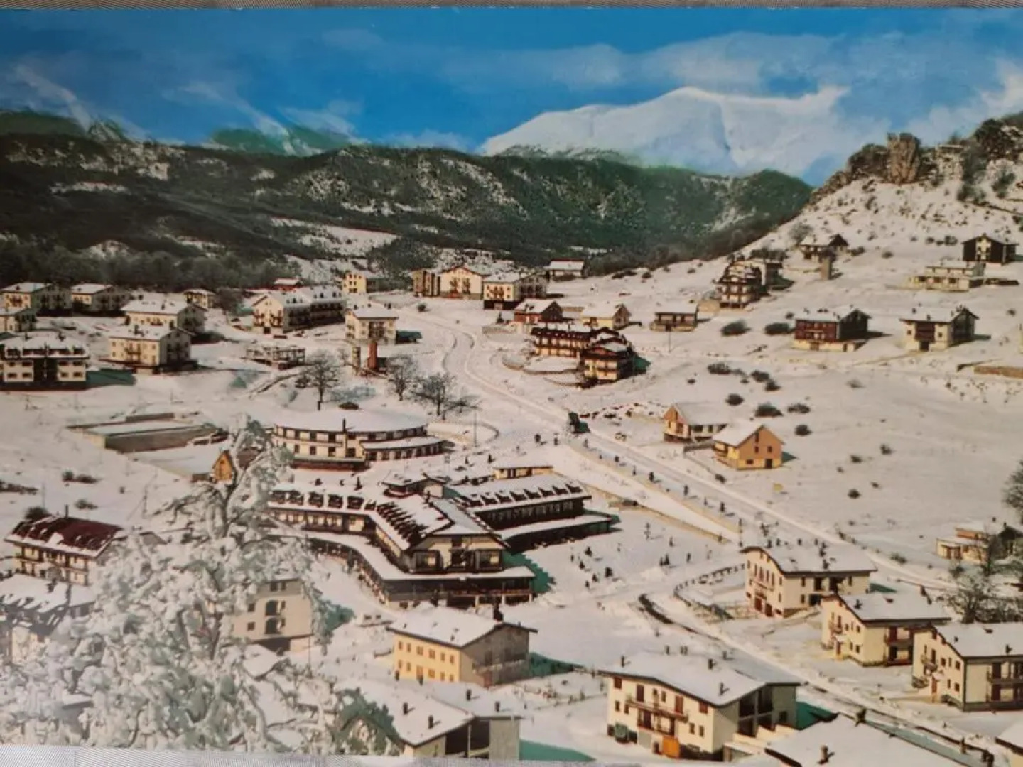 Appartamento L'Araba Fenice