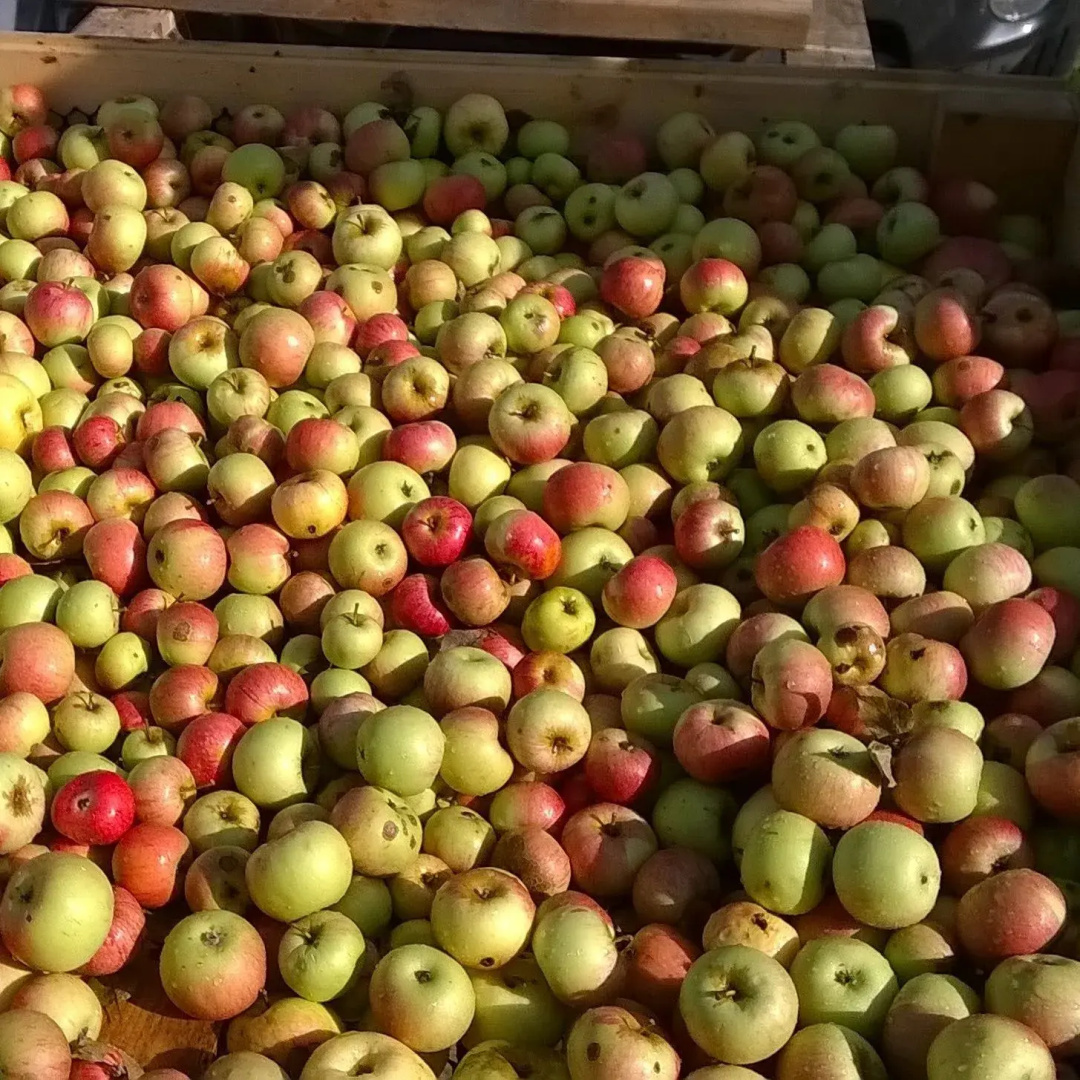 Agricola Tre Rii Sidreria