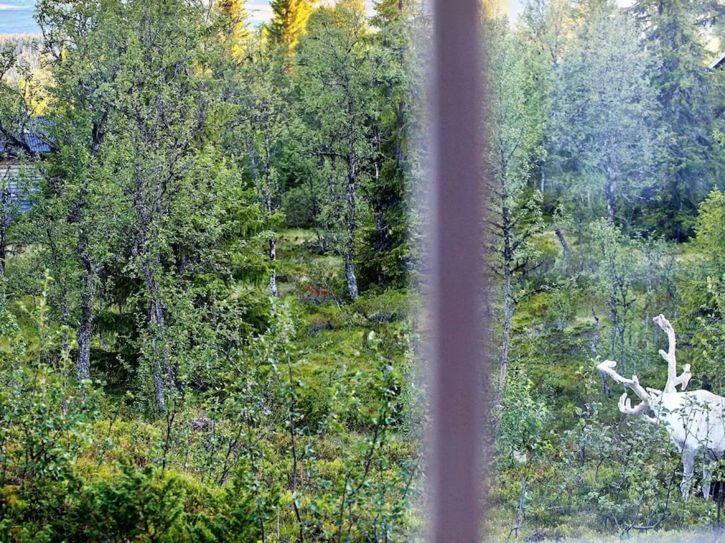 4 Person Holiday Home in Funäsdalen