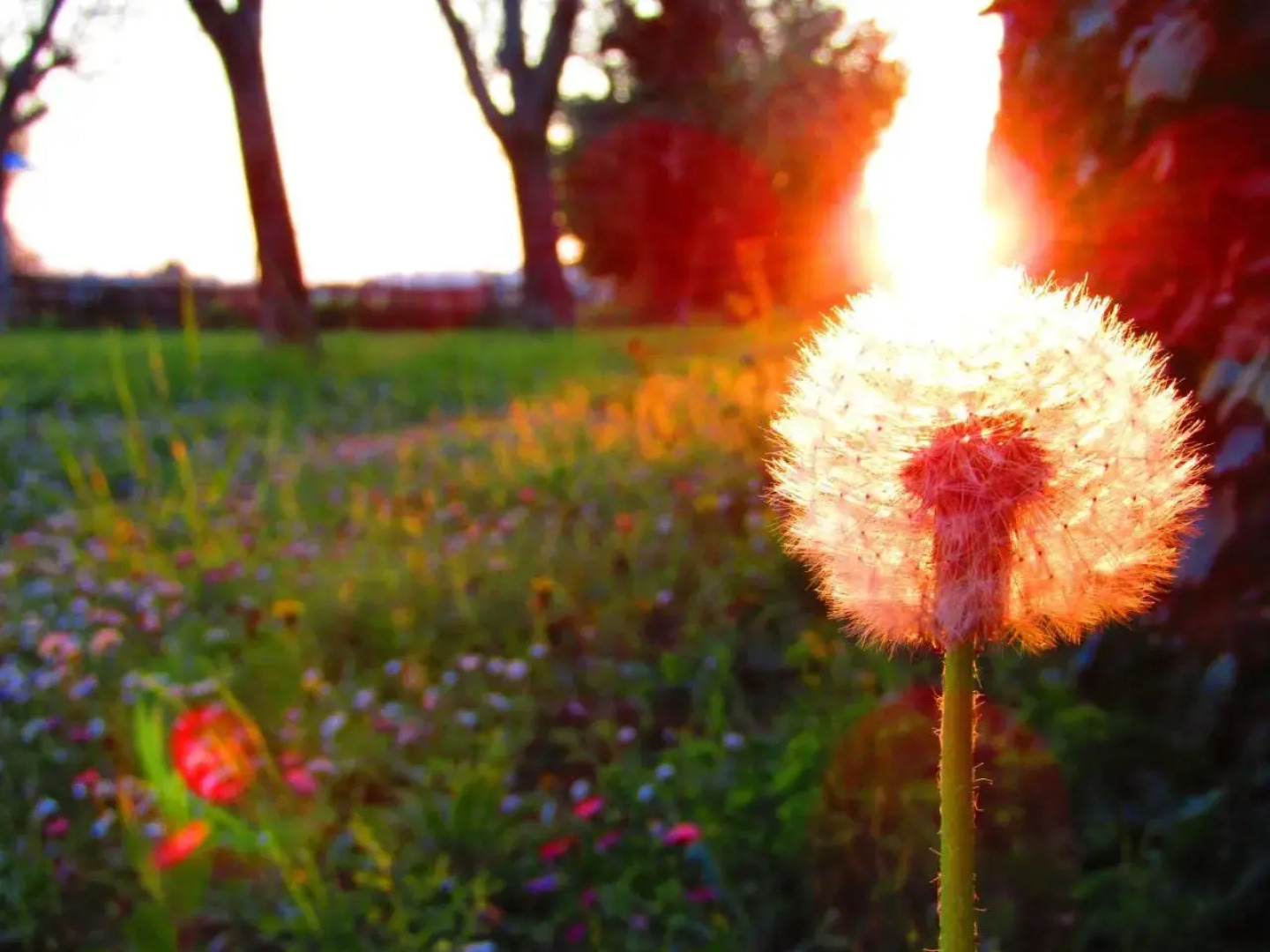 Residenza Torre Antica