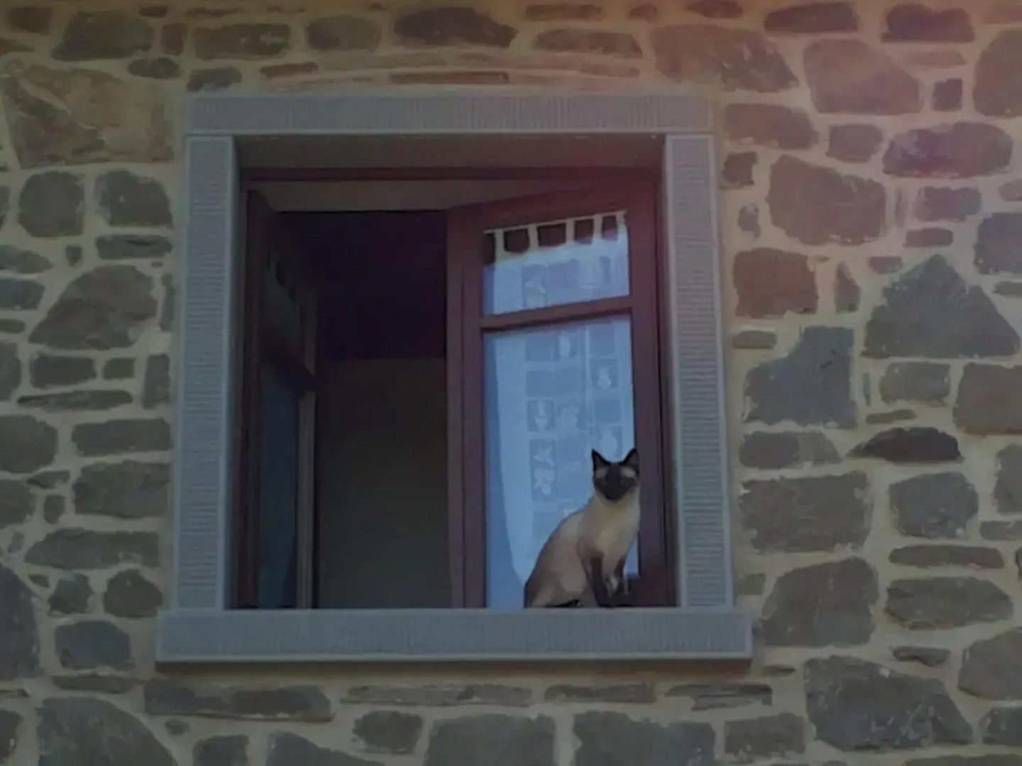 Podere Il Corniolino