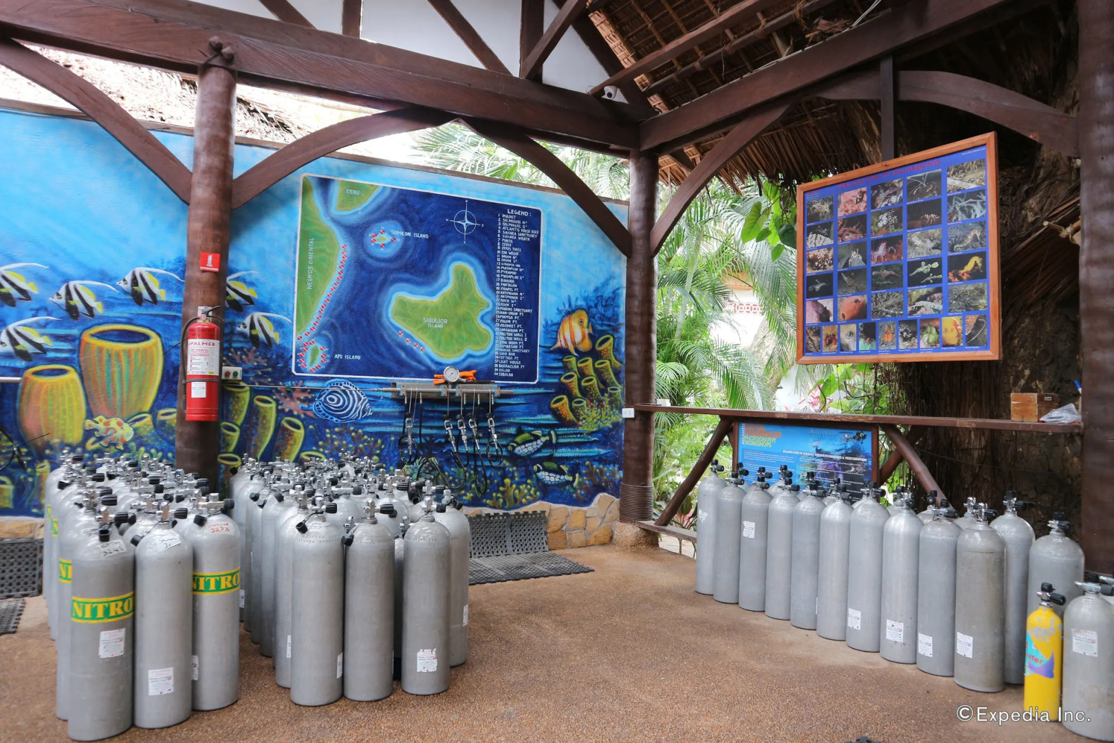 Atlantis Dive Resort Dumaguete