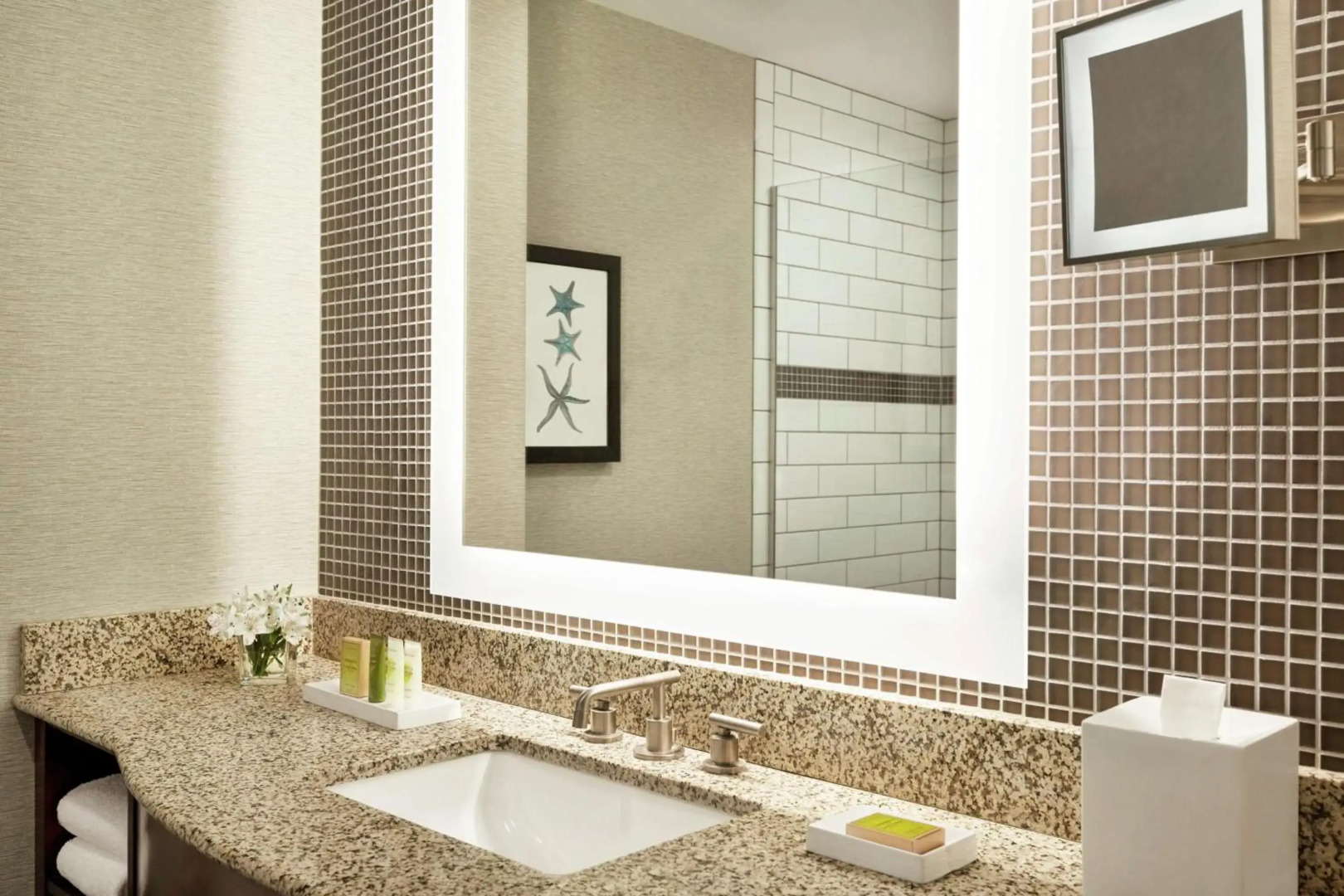 Cape Rey Carlsbad Beach, a Hilton Resort & Spa