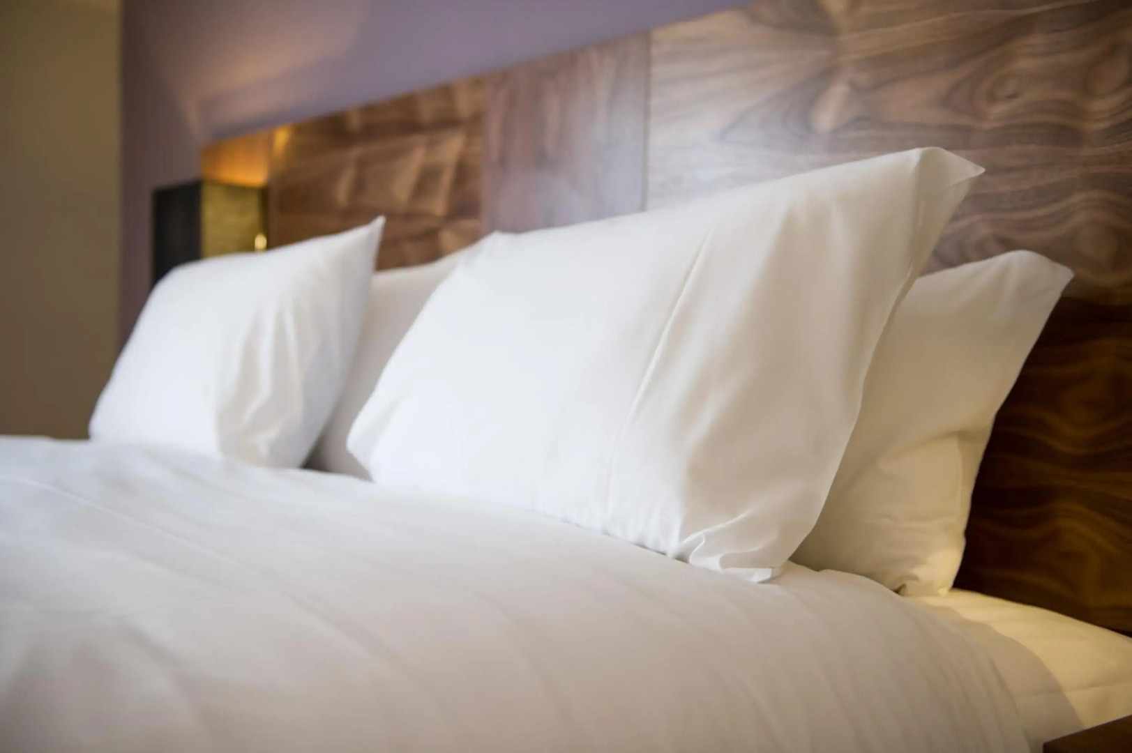 Toby Carvery Exeter M5 J30 by Innkeeper's Collection