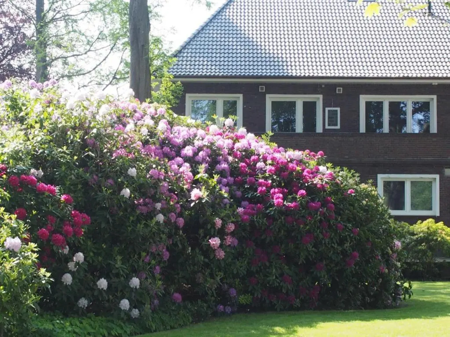 Ferienwohnung Alte Fehnapotheke, 95144