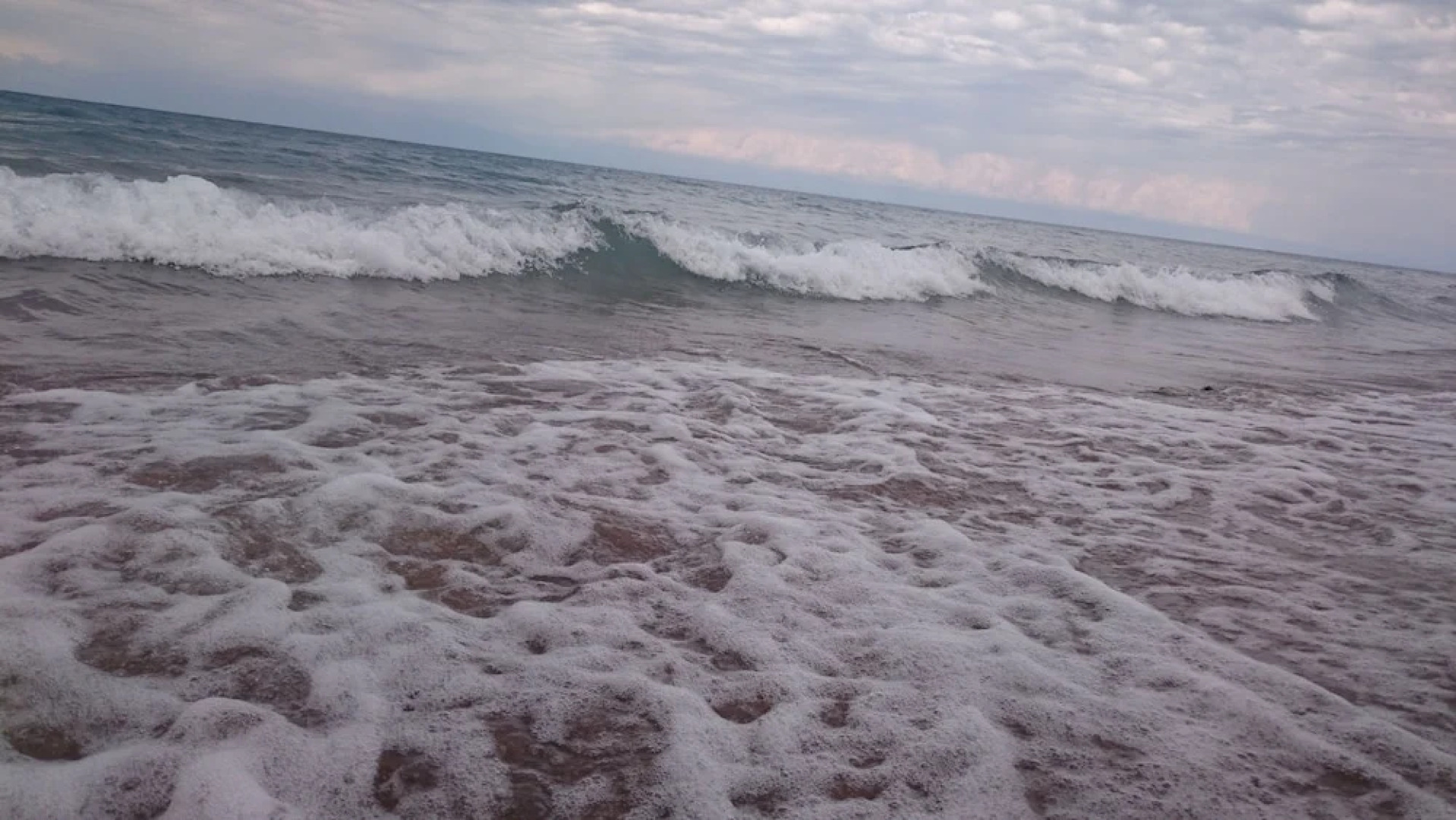 Family club Royal appricot