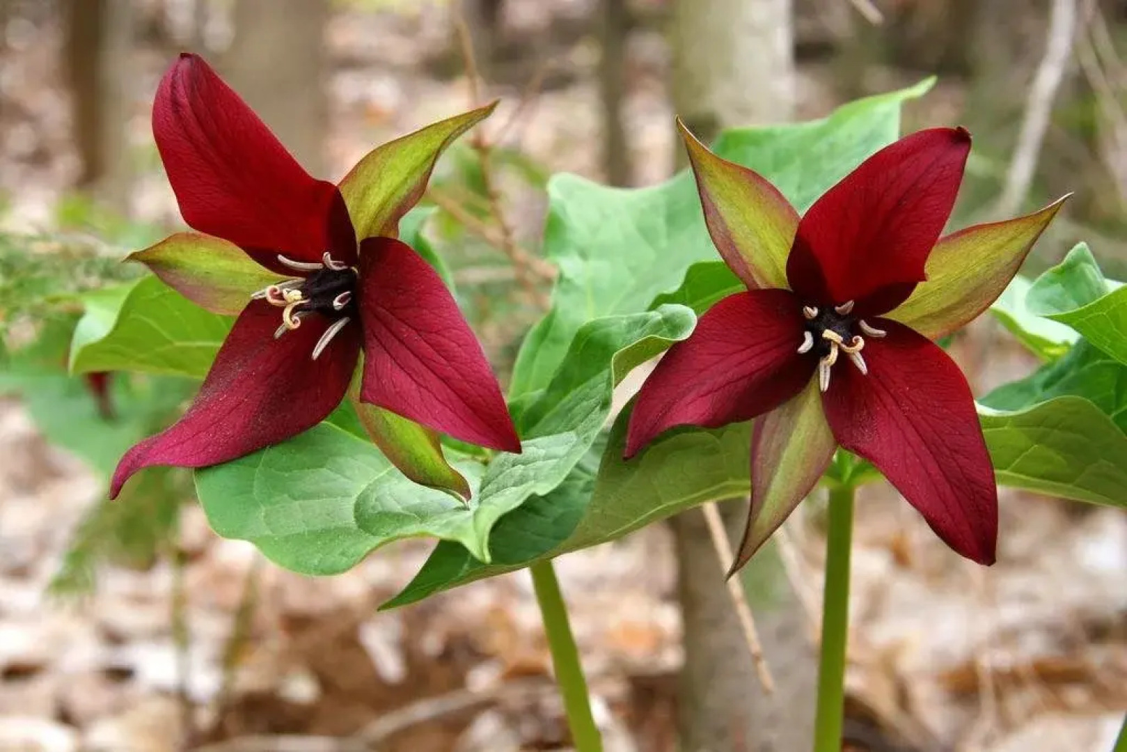 The Hive Centre and Stay