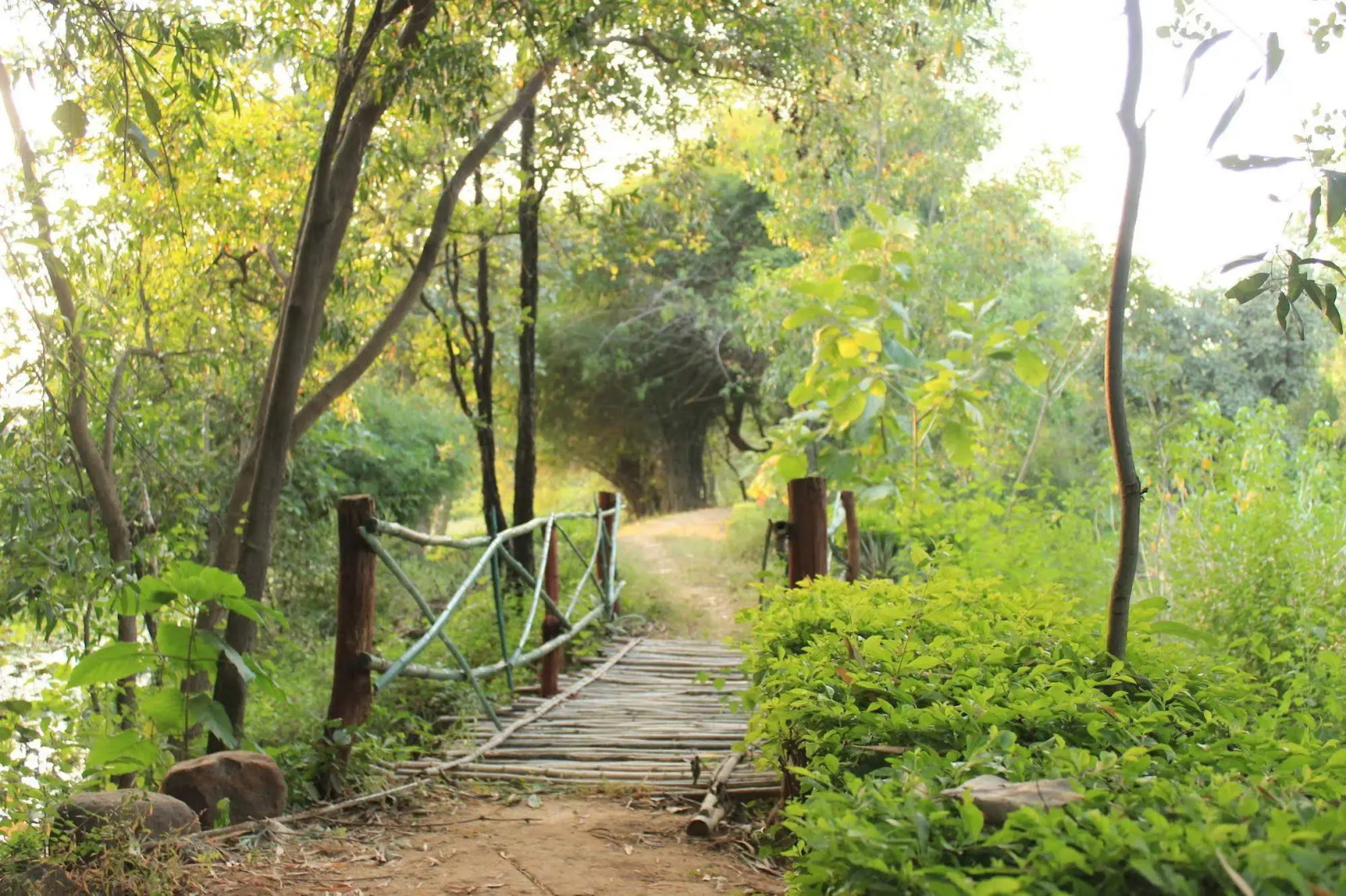 Tiger Trails Resorts