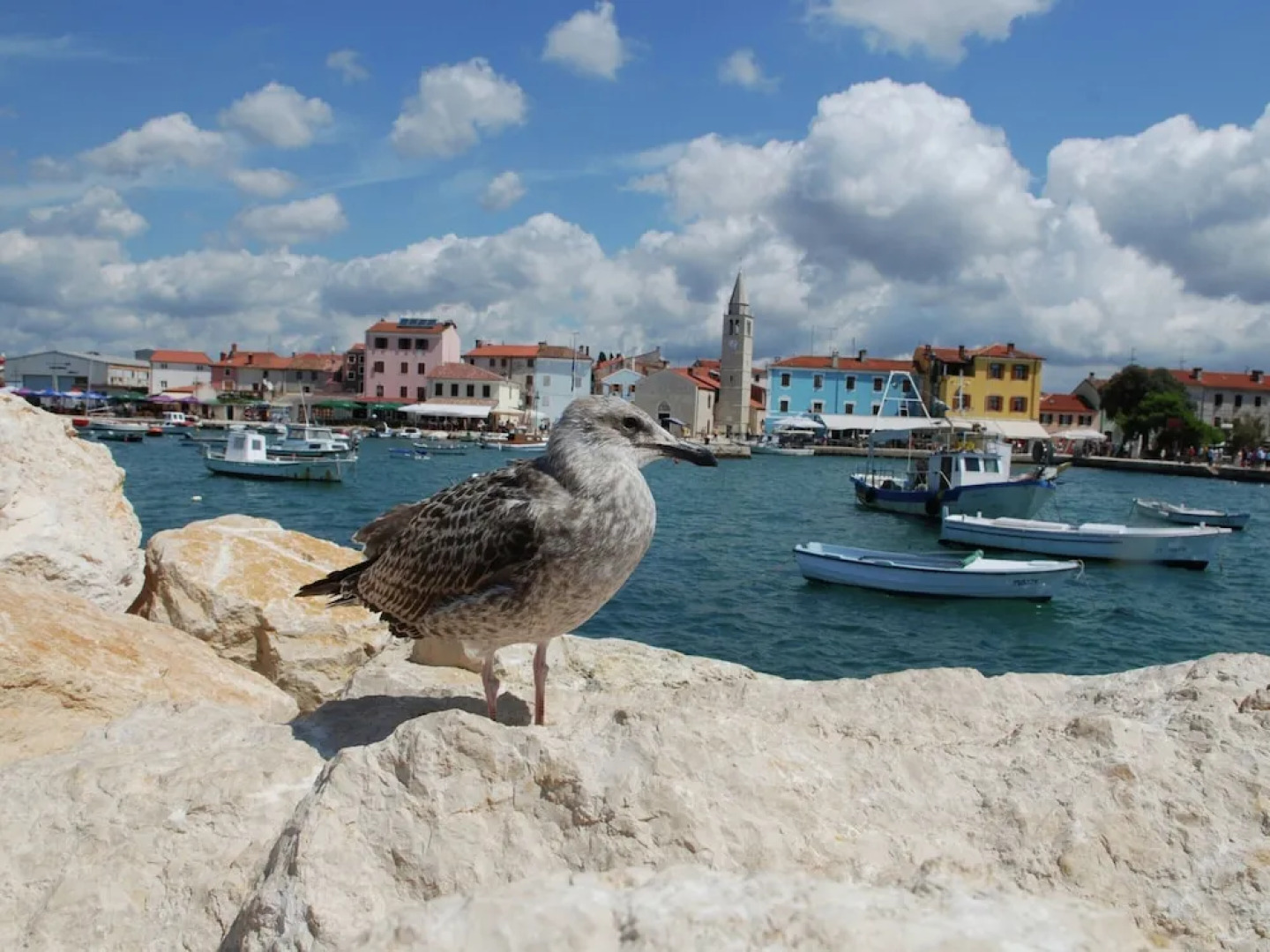 Detached House at Country Side, Fenced Private Garden Ideal for 2 Fam, Wifi