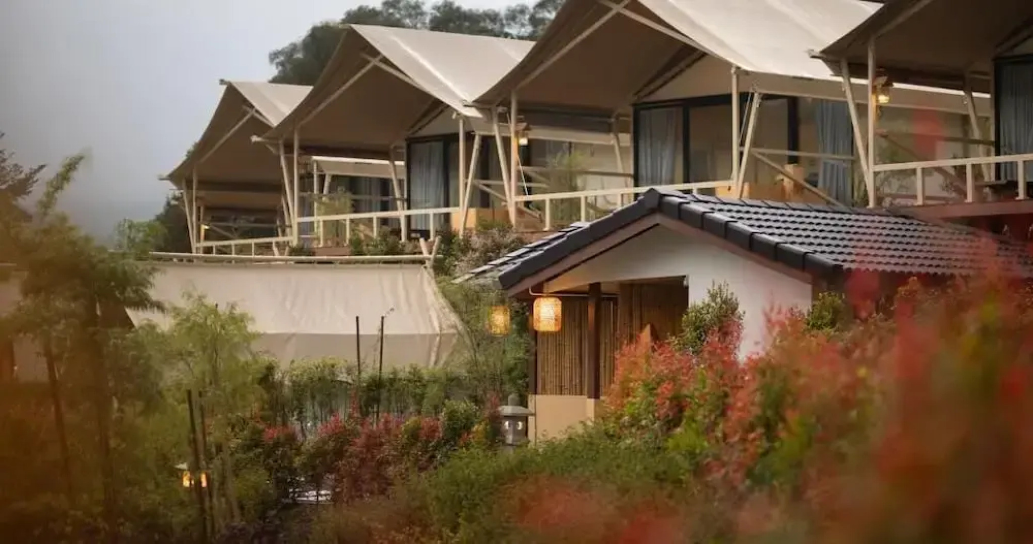 Zen By Stellar Cameron