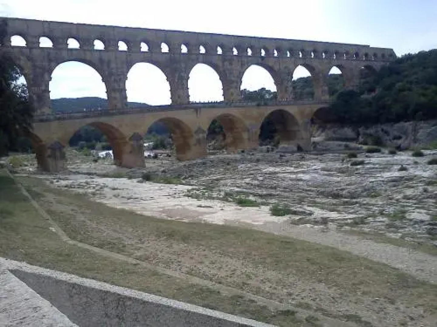 Les Cigales du Ventoux