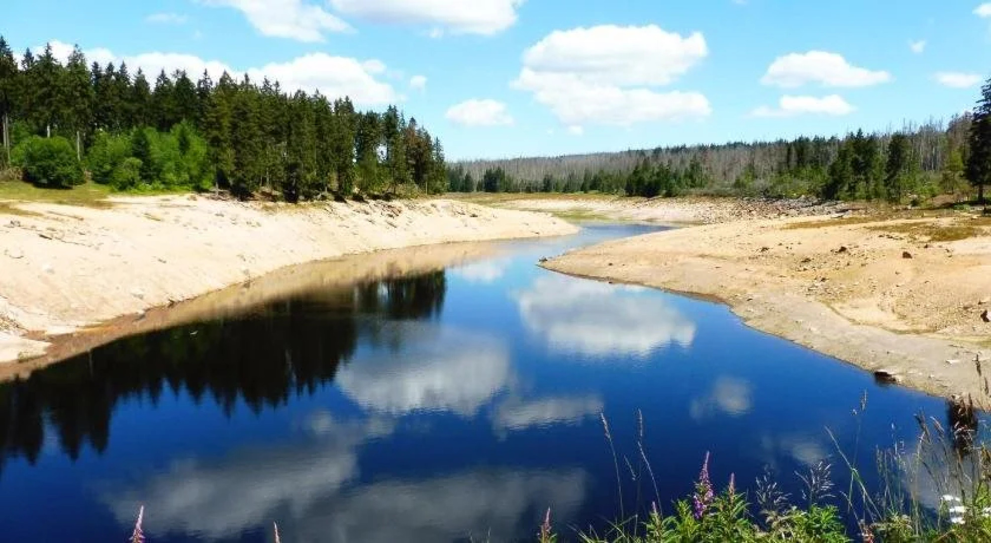 Pension Villa Waldfrieden