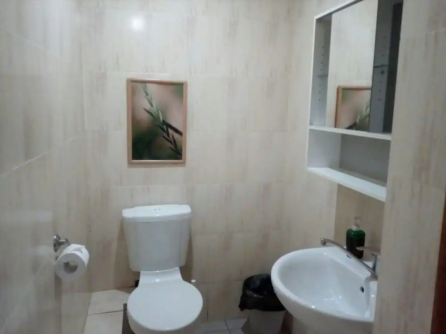 Меблированные комнаты Снегири