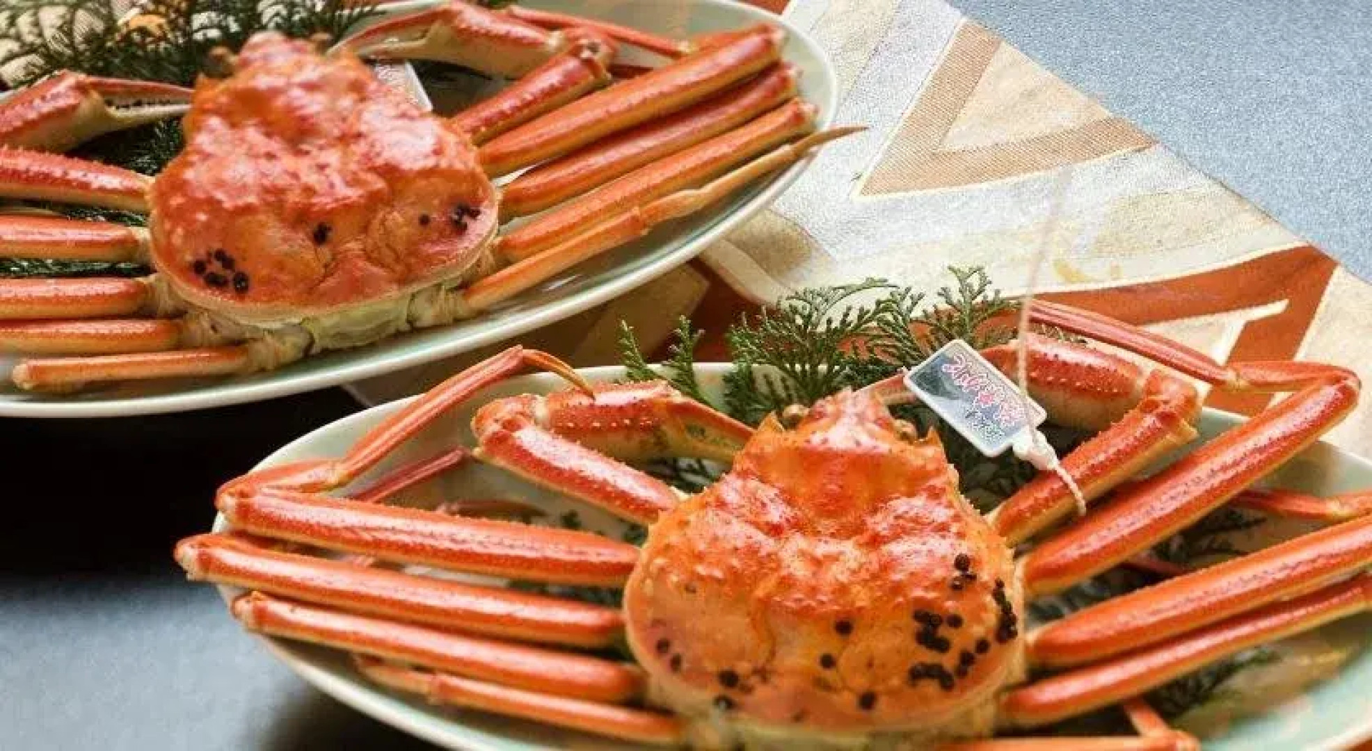 Saninyumura Onsen Kinokairori Kotobukiso