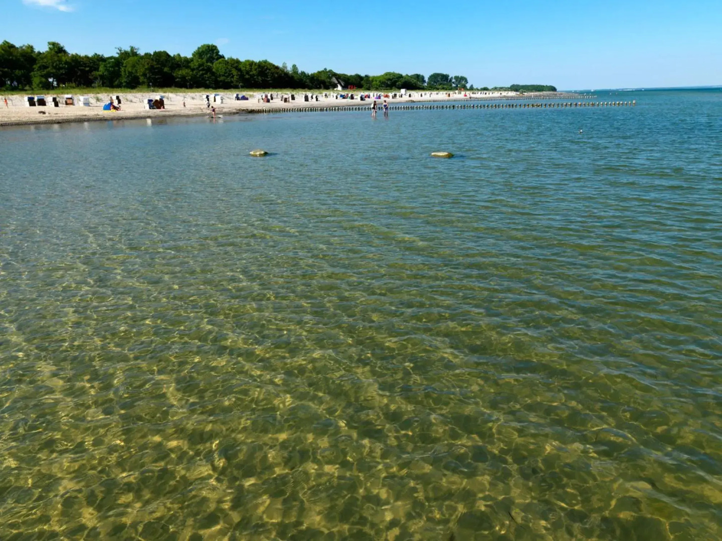 Ostsee Residenz Meeresblick Strandläufer