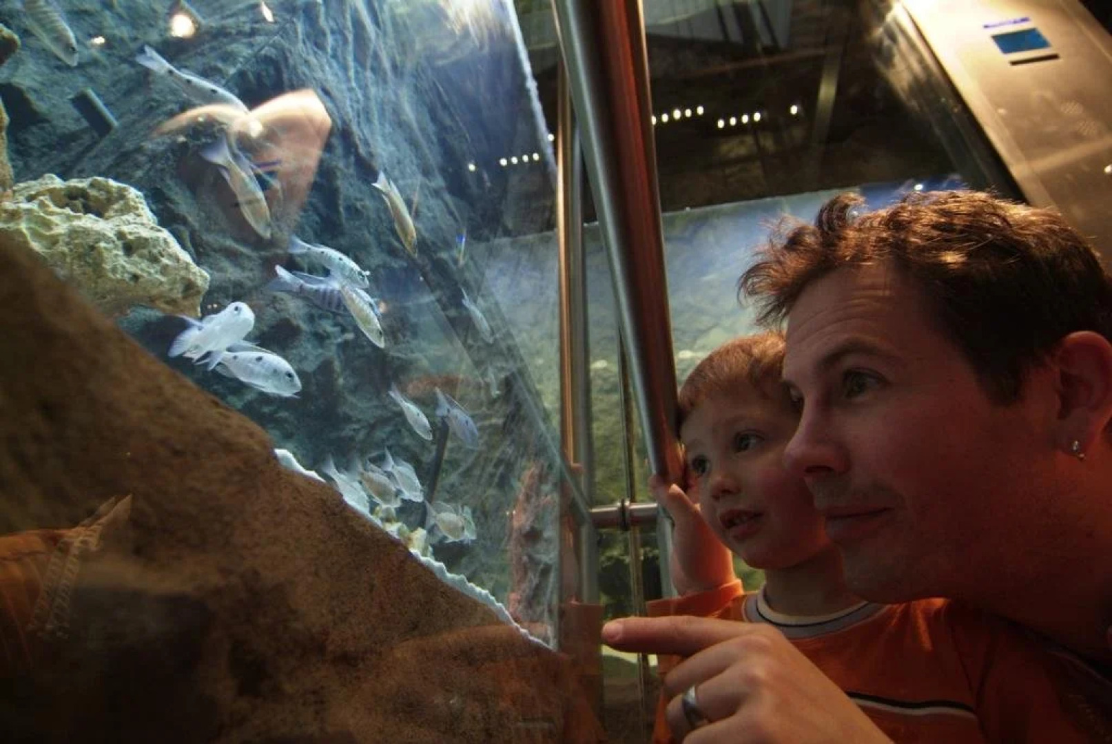 Märchenhotel Bellevue