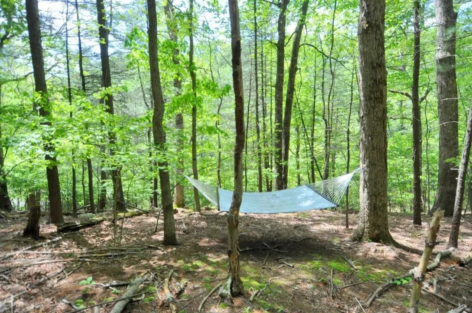 Cabin at Sleepy Creek - Charming Cabin