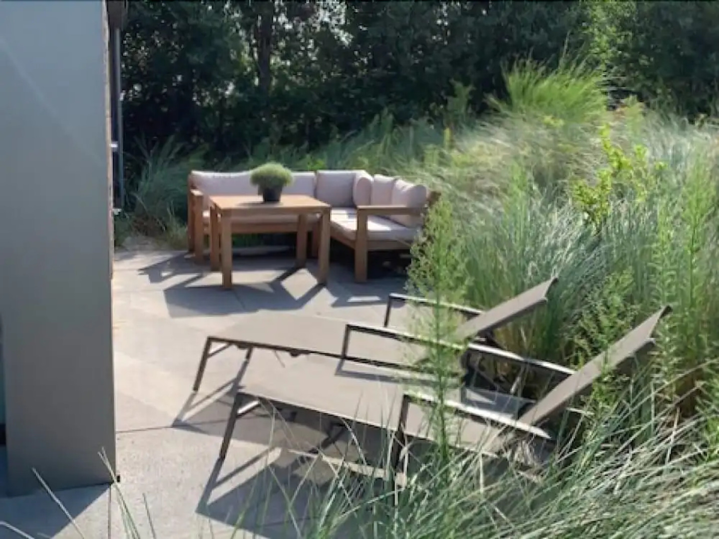 Reiger aan Zee Egmond