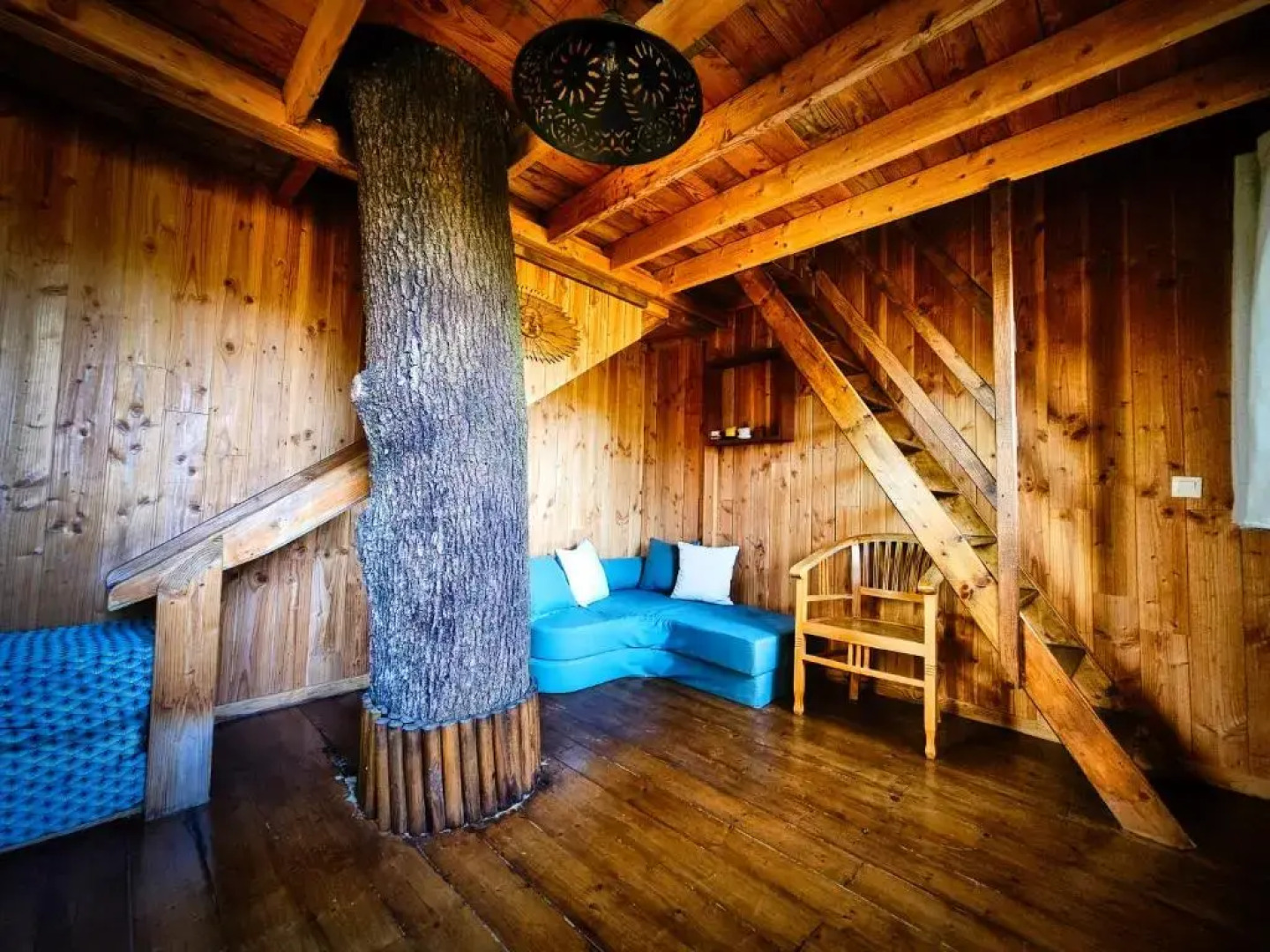 Hetre Sous Le Charme