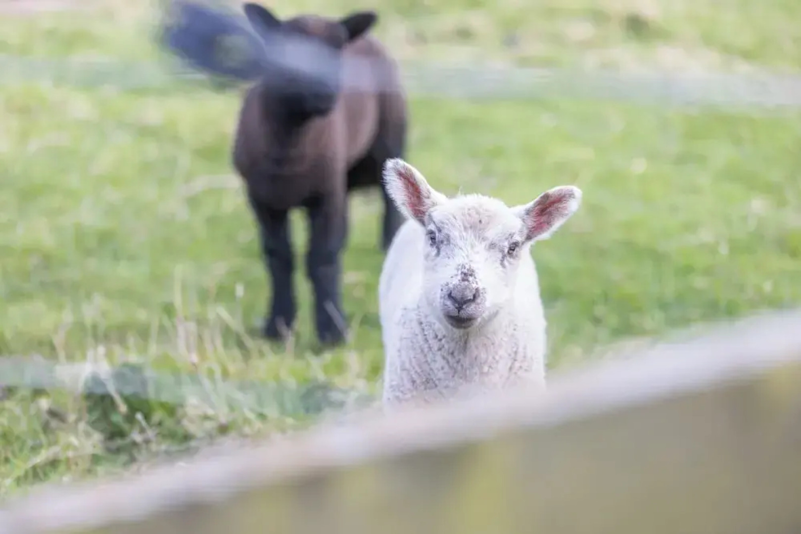 The Bothy - North East Escapes