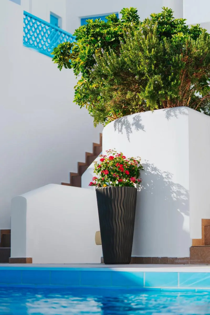 Aelia Apartments & Suites