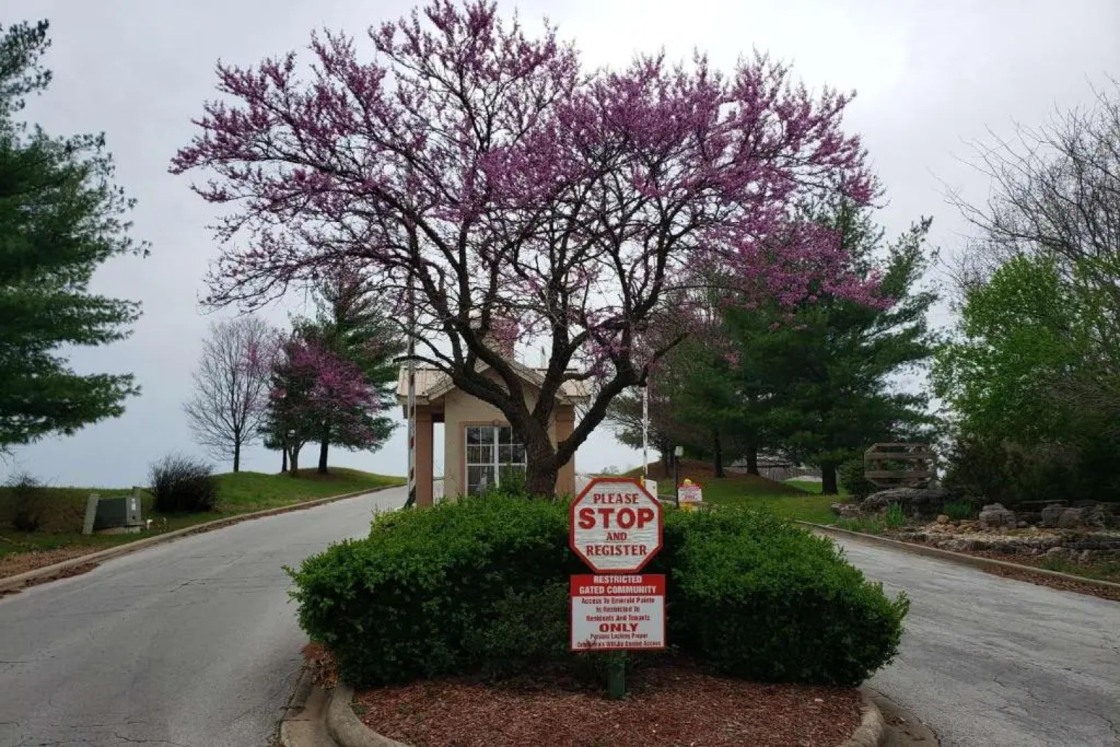 Emerald Bay Vista 101